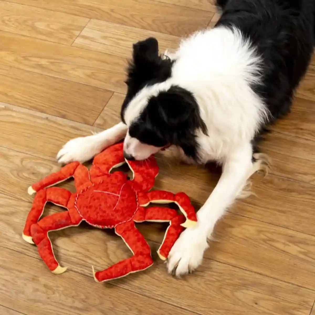 Durable Plush Crab Dog Toy for Interactive Play