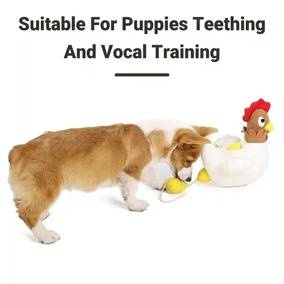 Hen Laying Eggs Dog Toy Plush Squeaky Treat Puzzle for Small Dogs