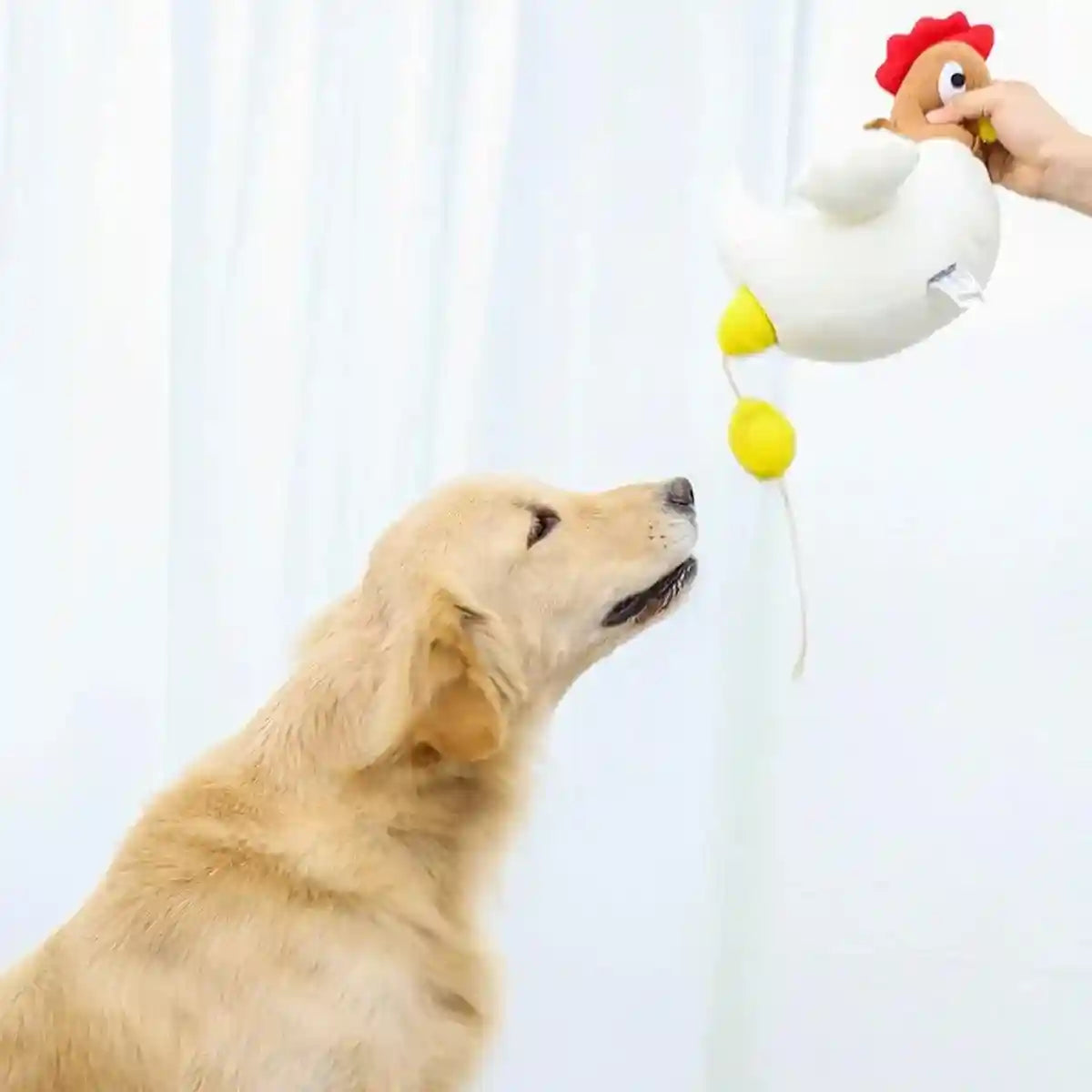Hen Laying Eggs Dog Toy Plush Squeaky Treat Puzzle for Small Dogs