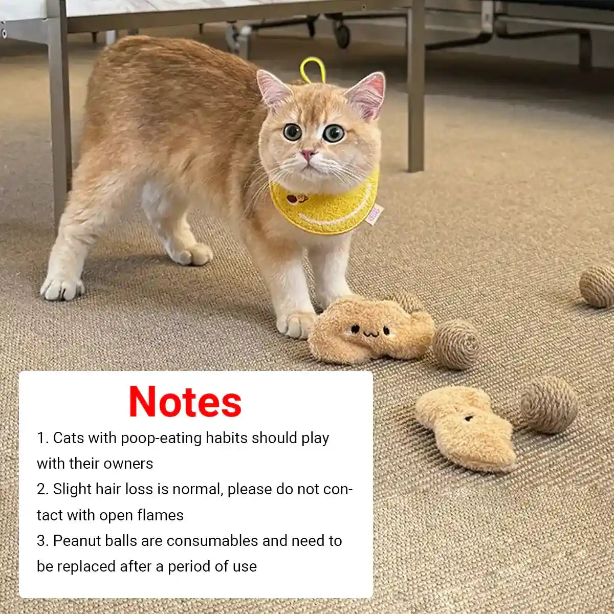 Colorful Wooden Bird Swing with Bells Parrot Cage Hanging Toy