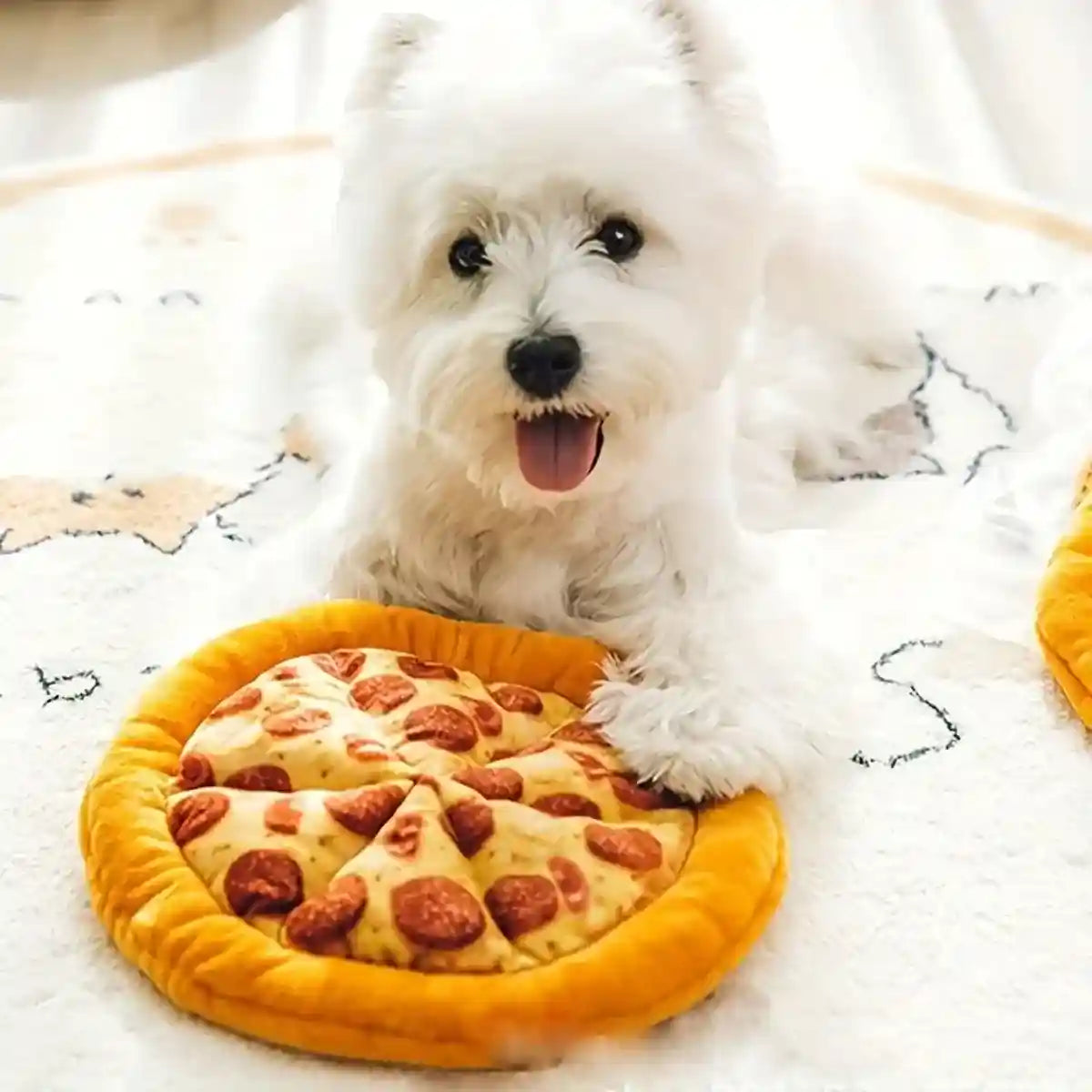 Plush Pizza Squeaky Dog Toy for Small & Medium Dogs Interactive Pet Chew Toy