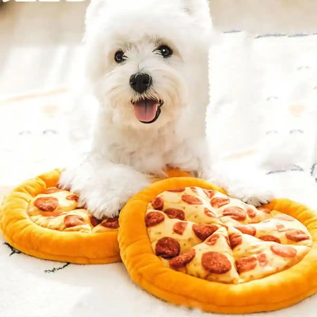 Plush Pizza Squeaky Dog Toy for Small & Medium Dogs Interactive Pet Chew Toy
