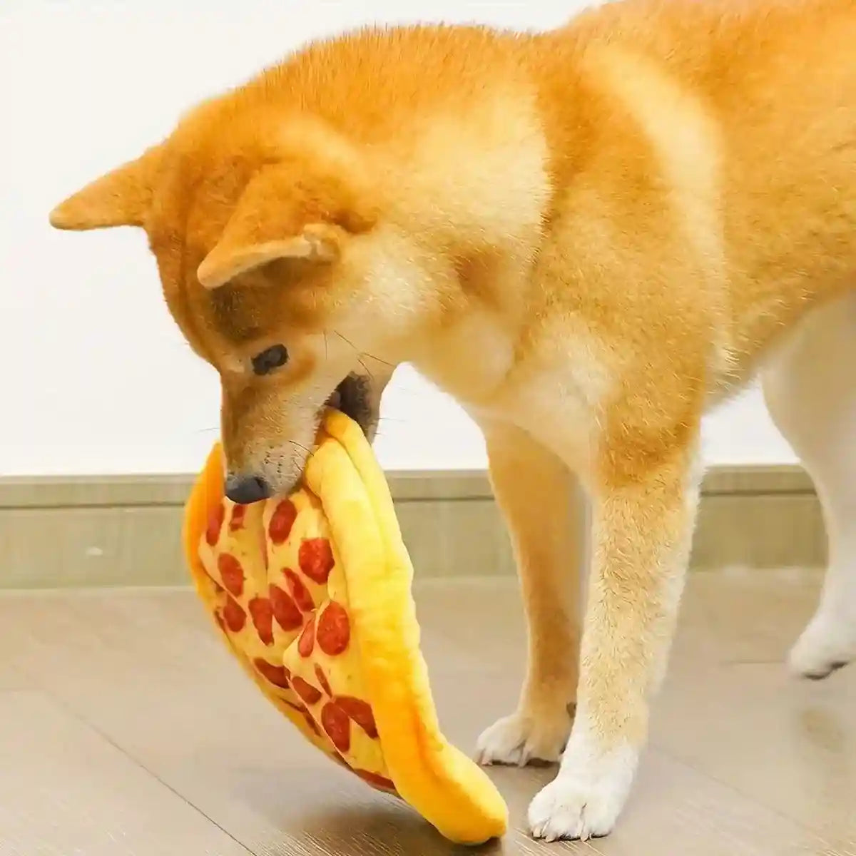 Plush Pizza Squeaky Dog Toy for Small & Medium Dogs Interactive Pet Chew Toy