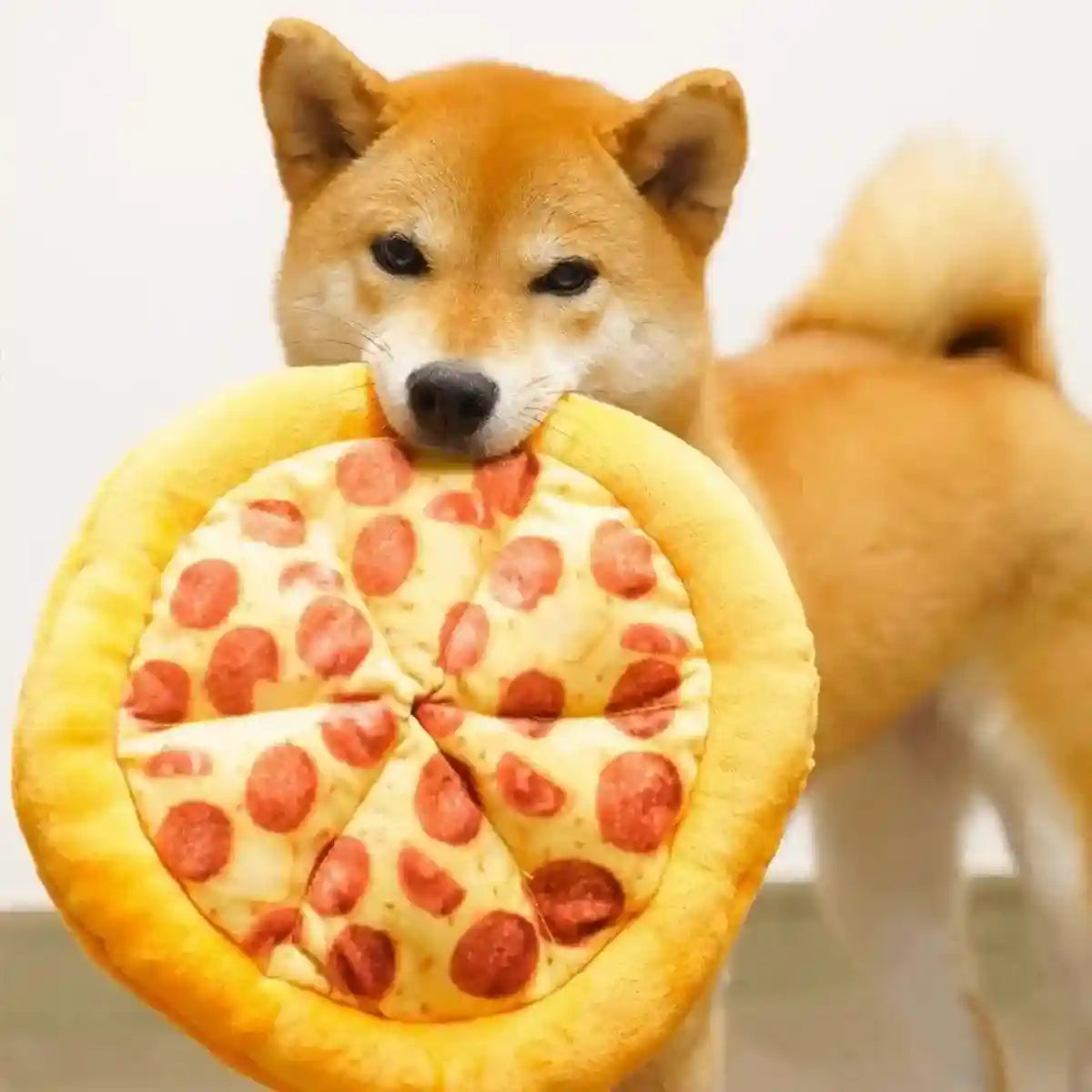 Plush Pizza Squeaky Dog Toy for Small & Medium Dogs Interactive Pet Chew Toy