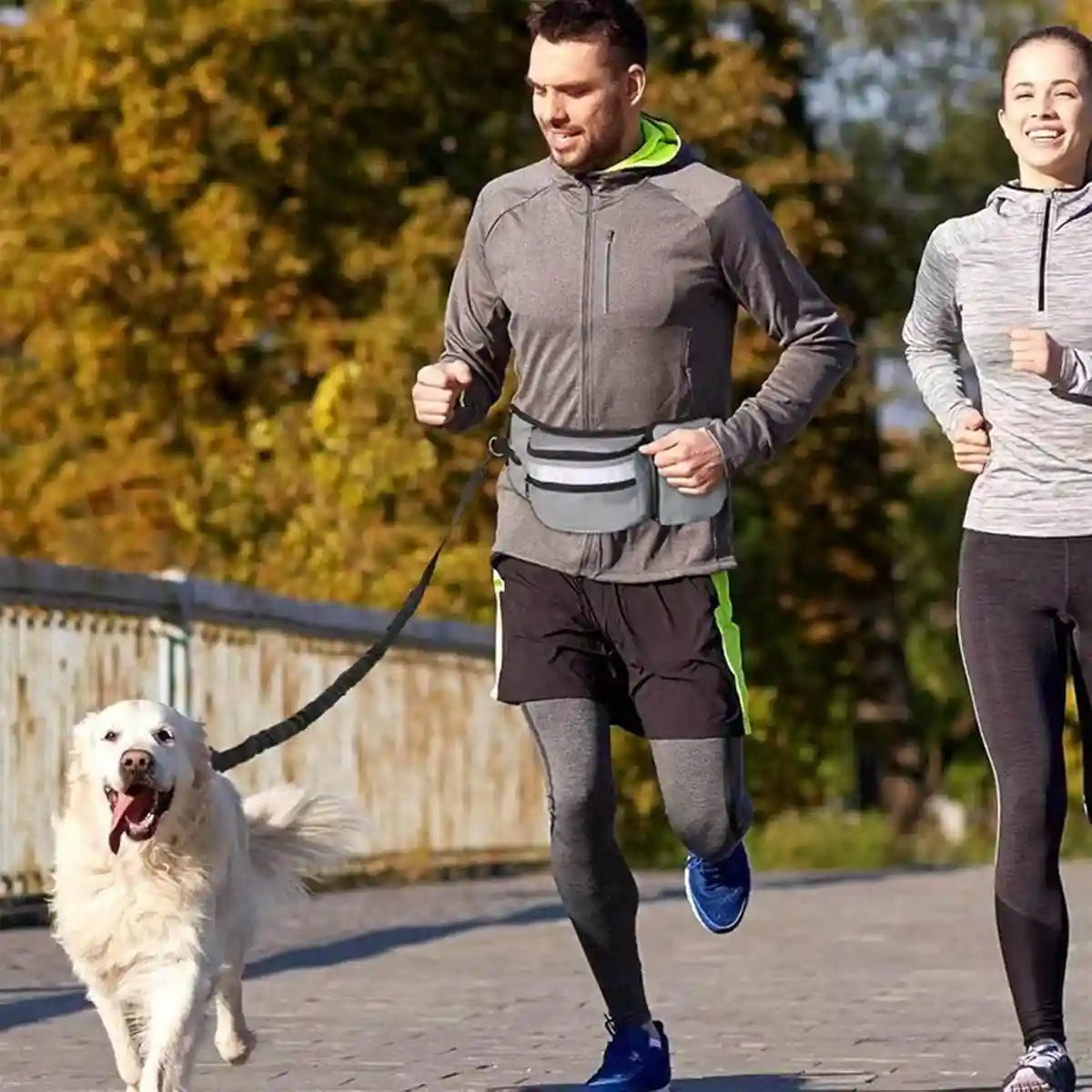 Dog Treat Pouch Adjustable Dog Walking Waist Bag with Pockets