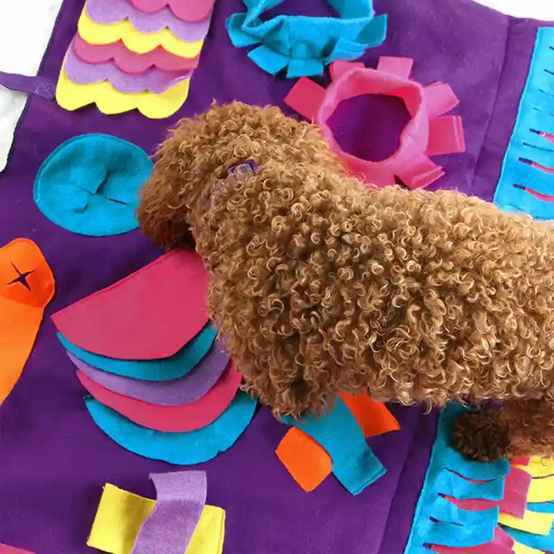 Interactive Dog Snuffle Mat