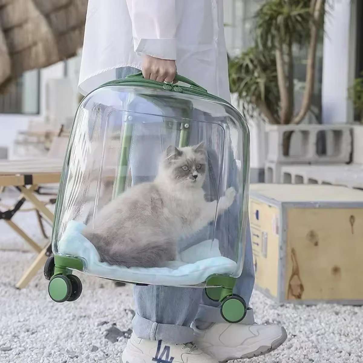 Transparent Pet Trolley Carrier with Wheels for Cats & Small Dogs