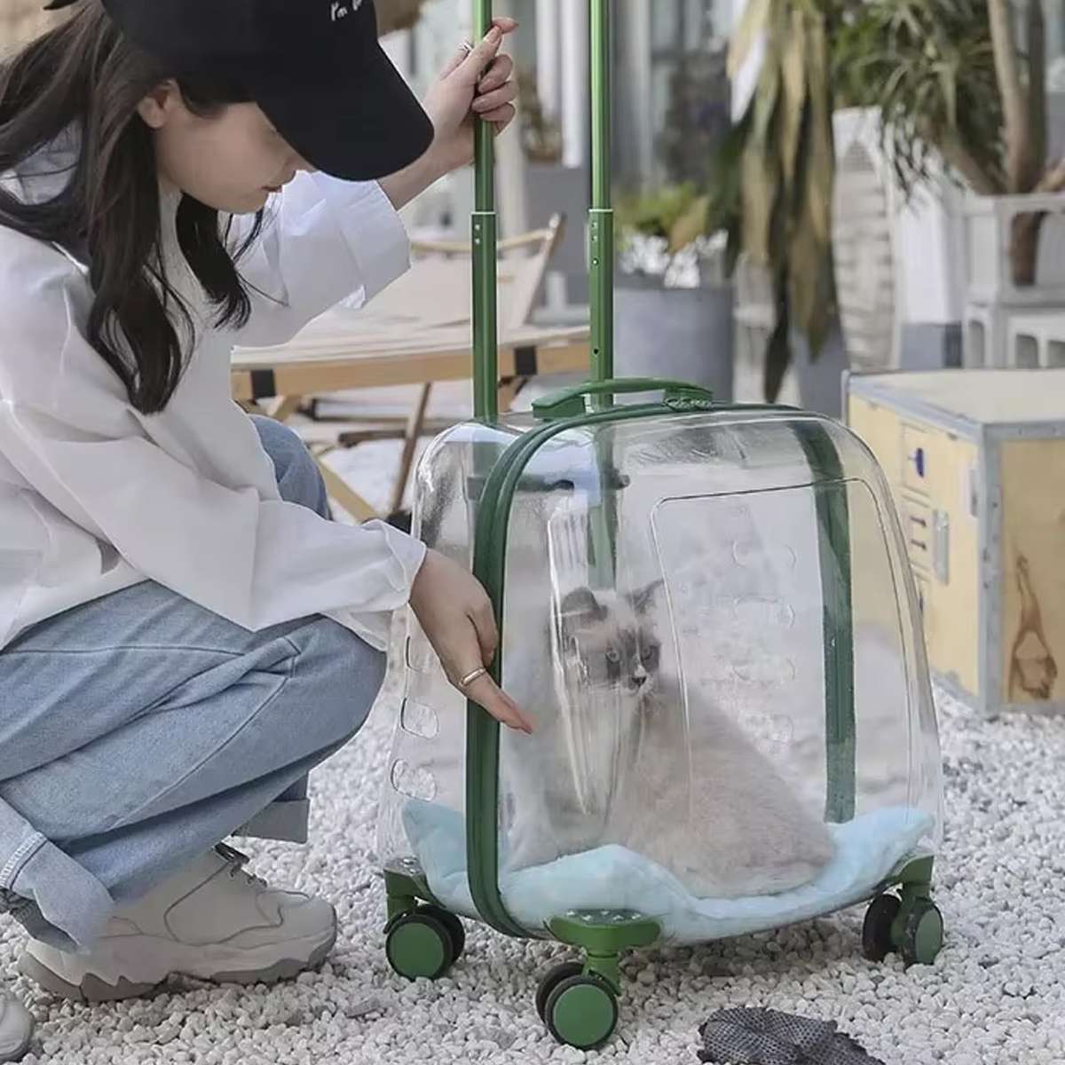 Transparent Pet Trolley Carrier with Wheels for Cats & Small Dogs