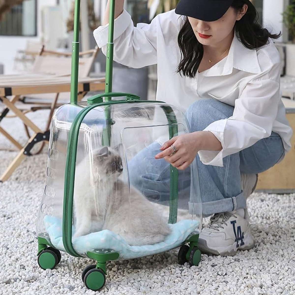 Transparent Pet Trolley Carrier with Wheels for Cats & Small Dogs