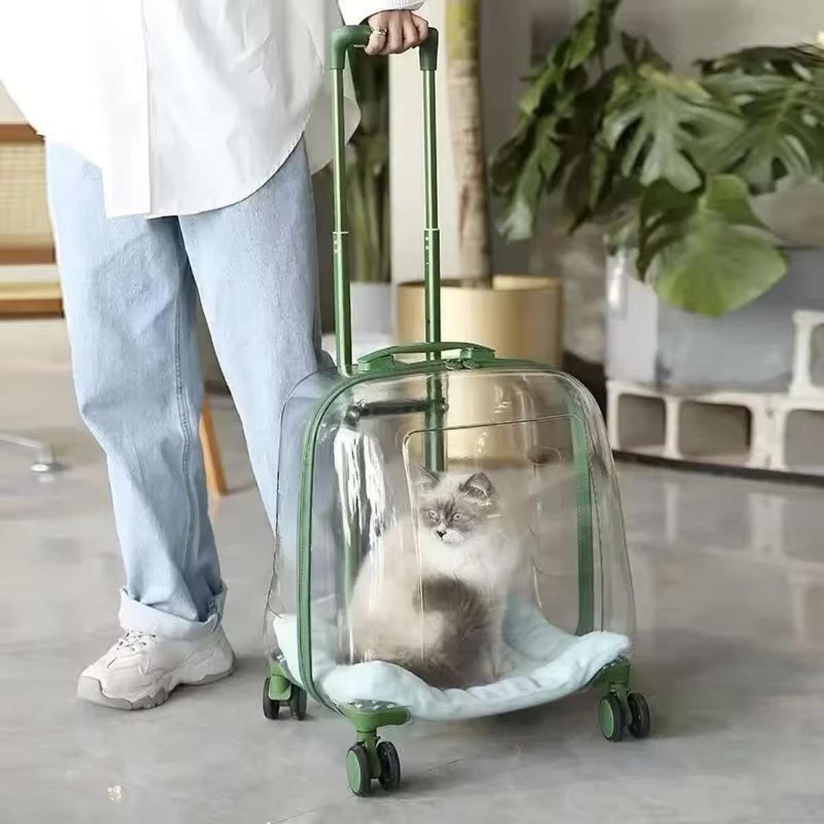 Transparent Pet Trolley Carrier with Wheels for Cats & Small Dogs