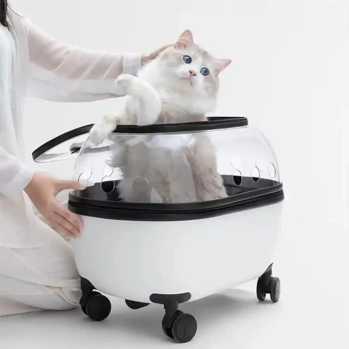Pet Trolley with Skylight Design Convenient Travel Carrier for Cats and Small Pets