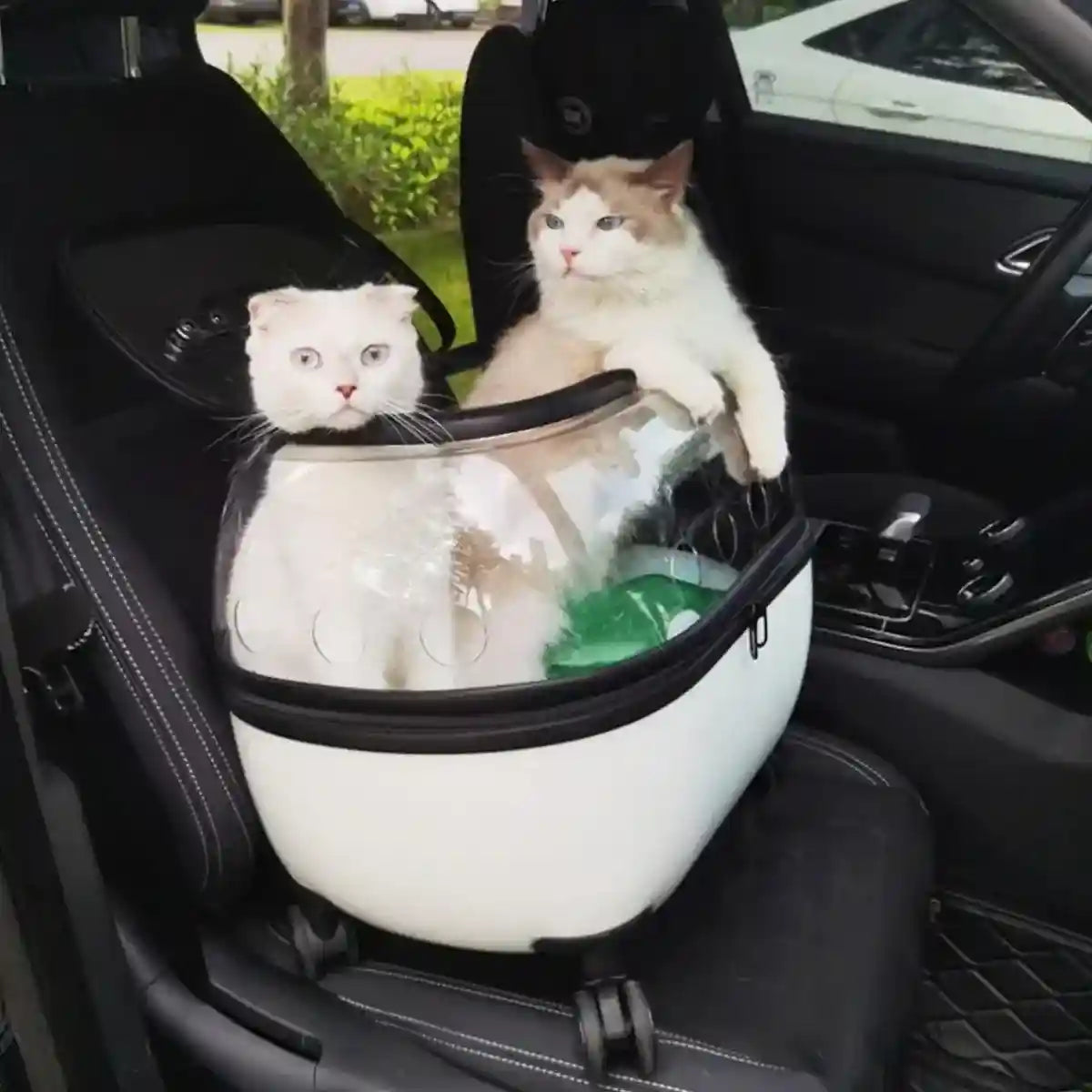 Pet Trolley with Skylight Design Convenient Travel Carrier for Cats and Small Pets