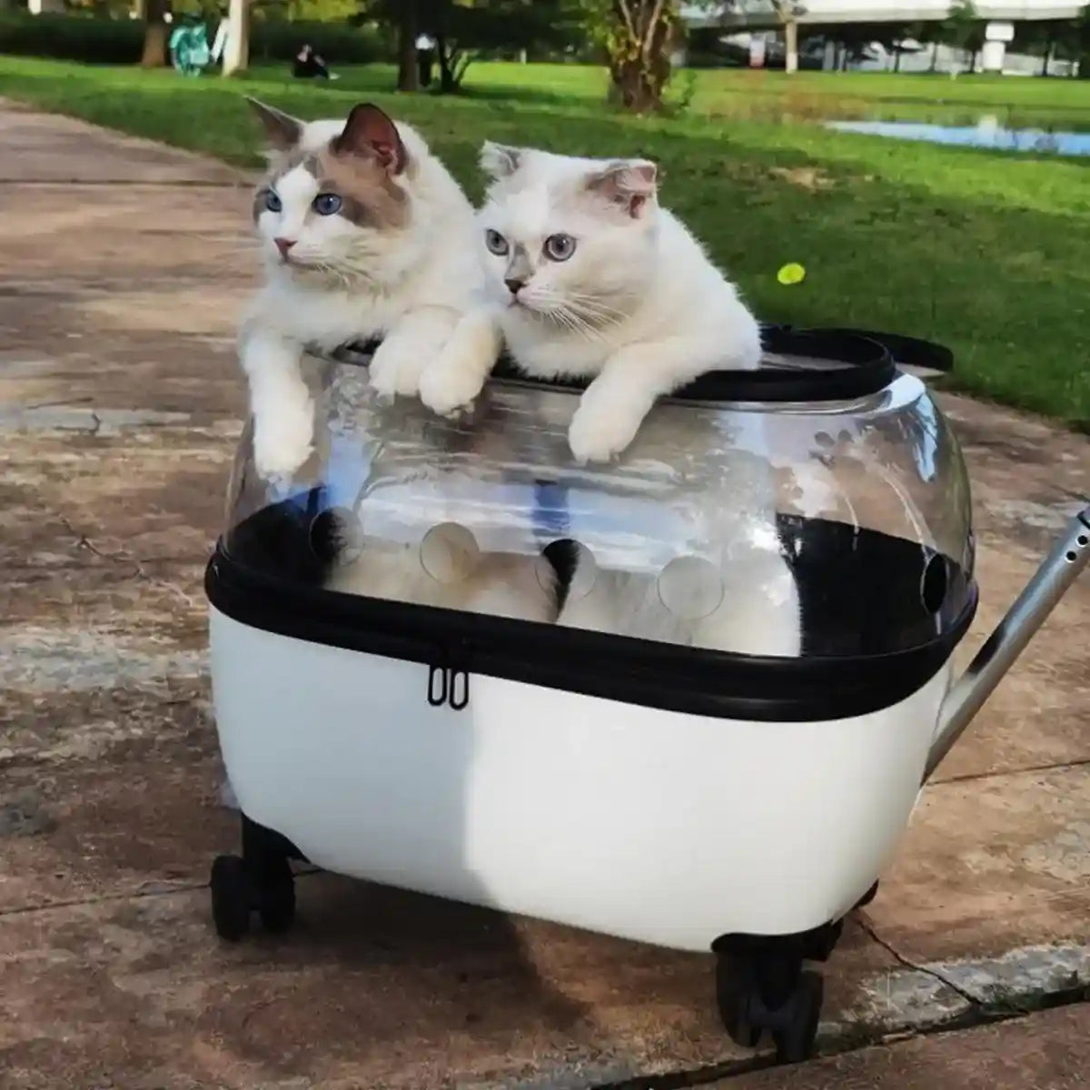 Pet Trolley with Skylight Design Convenient Travel Carrier for Cats and Small Pets