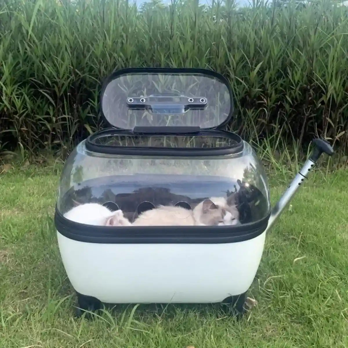 Pet Trolley with Skylight Design Convenient Travel Carrier for Cats and Small Pets