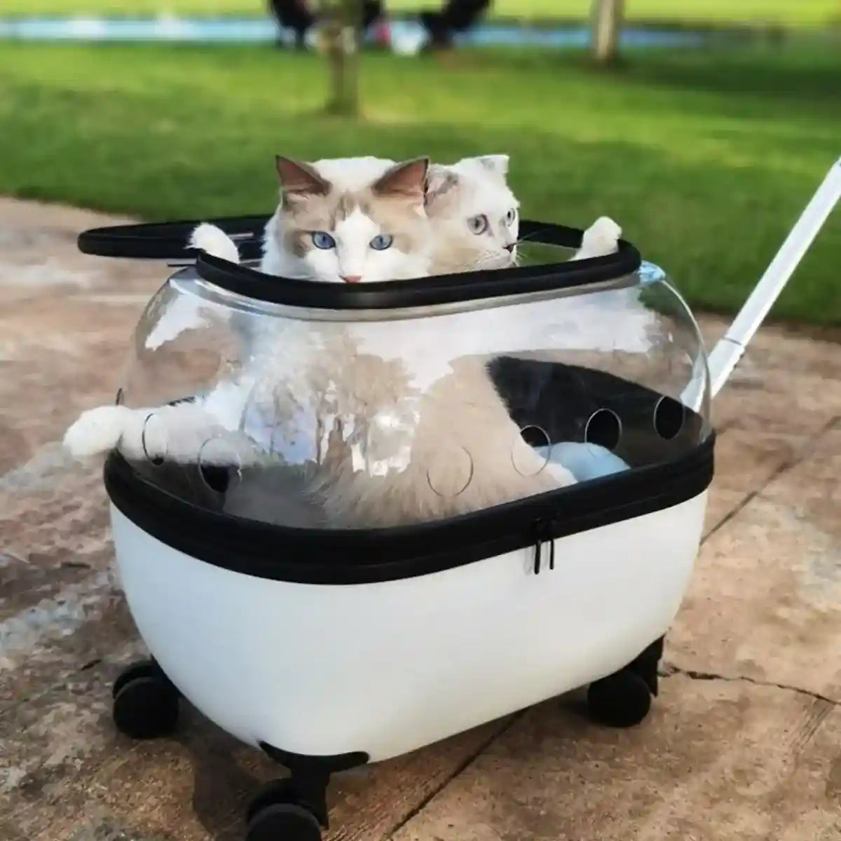 Pet Trolley with Skylight Design Convenient Travel Carrier for Cats and Small Pets