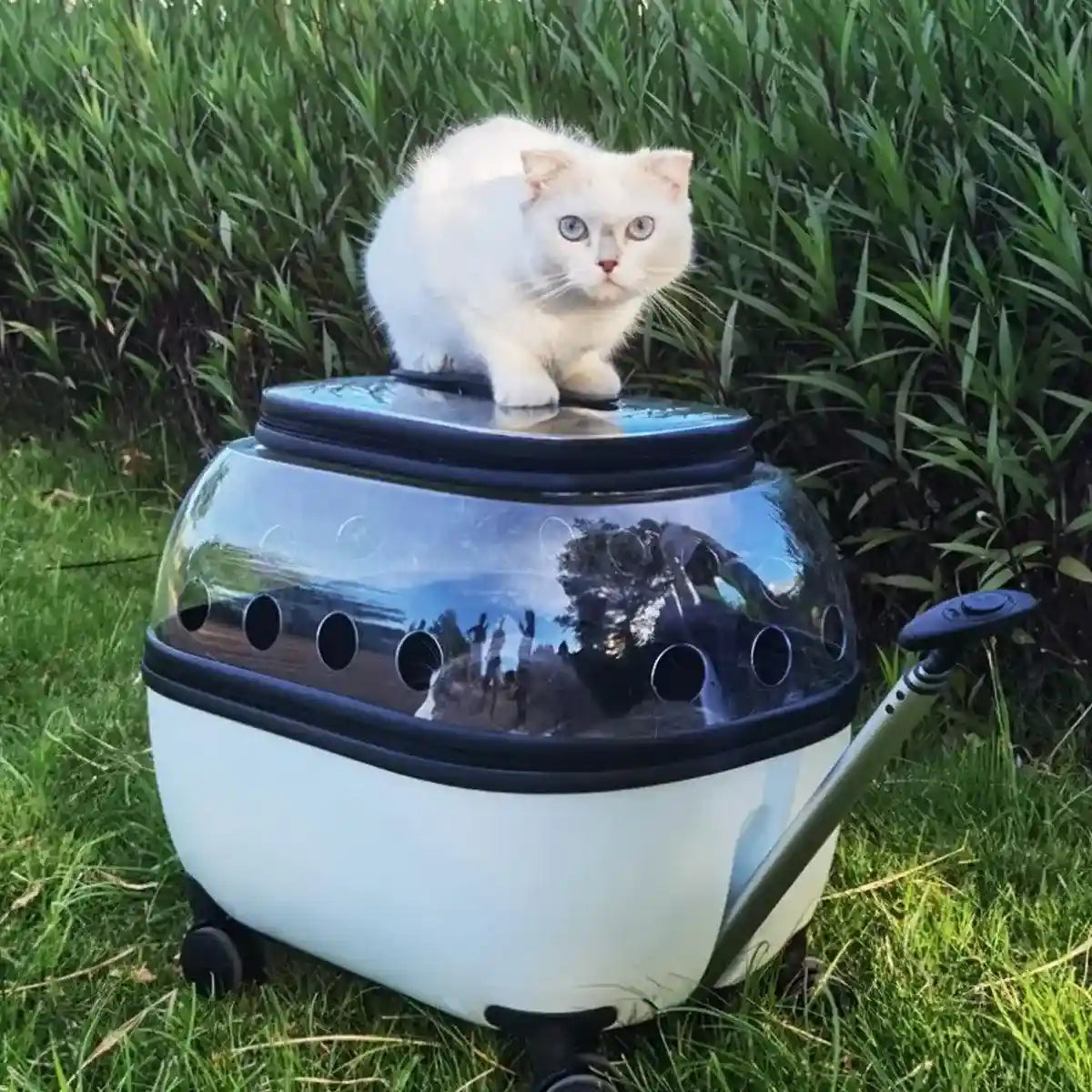 Pet Trolley with Skylight Design Convenient Travel Carrier for Cats and Small Pets