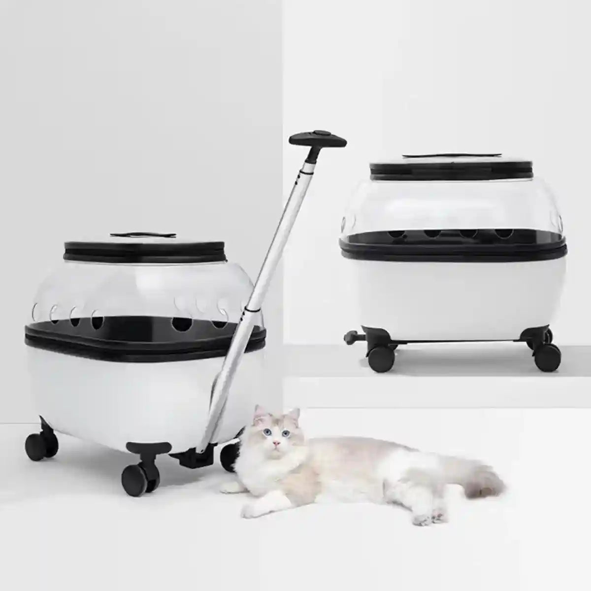 Pet Trolley with Skylight Design Convenient Travel Carrier for Cats and Small Pets
