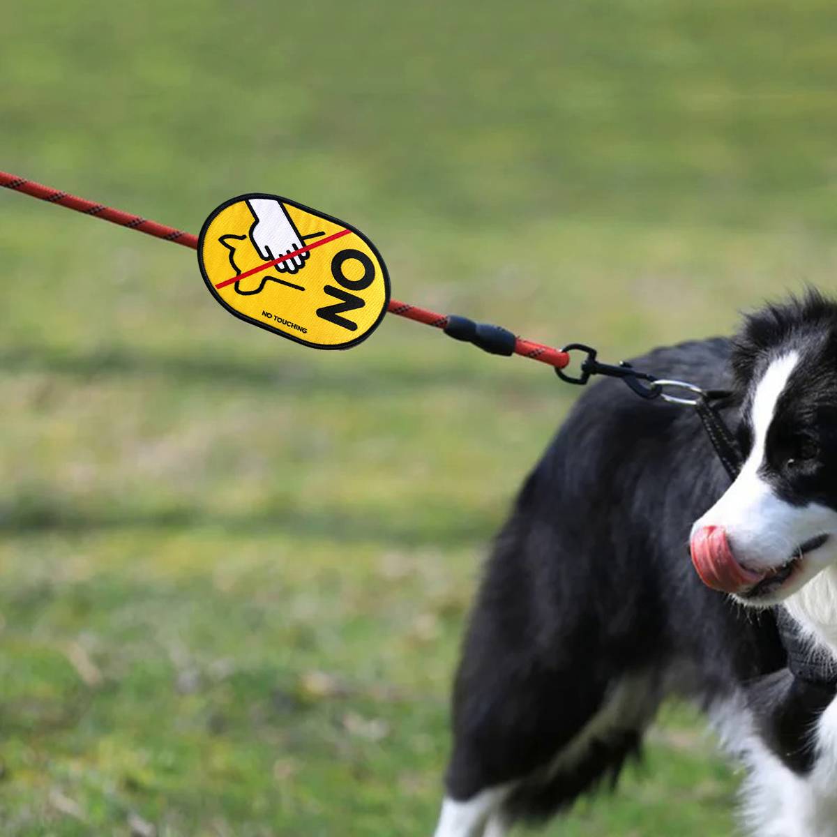 Dog Warning Tags No Touching Leash Patch