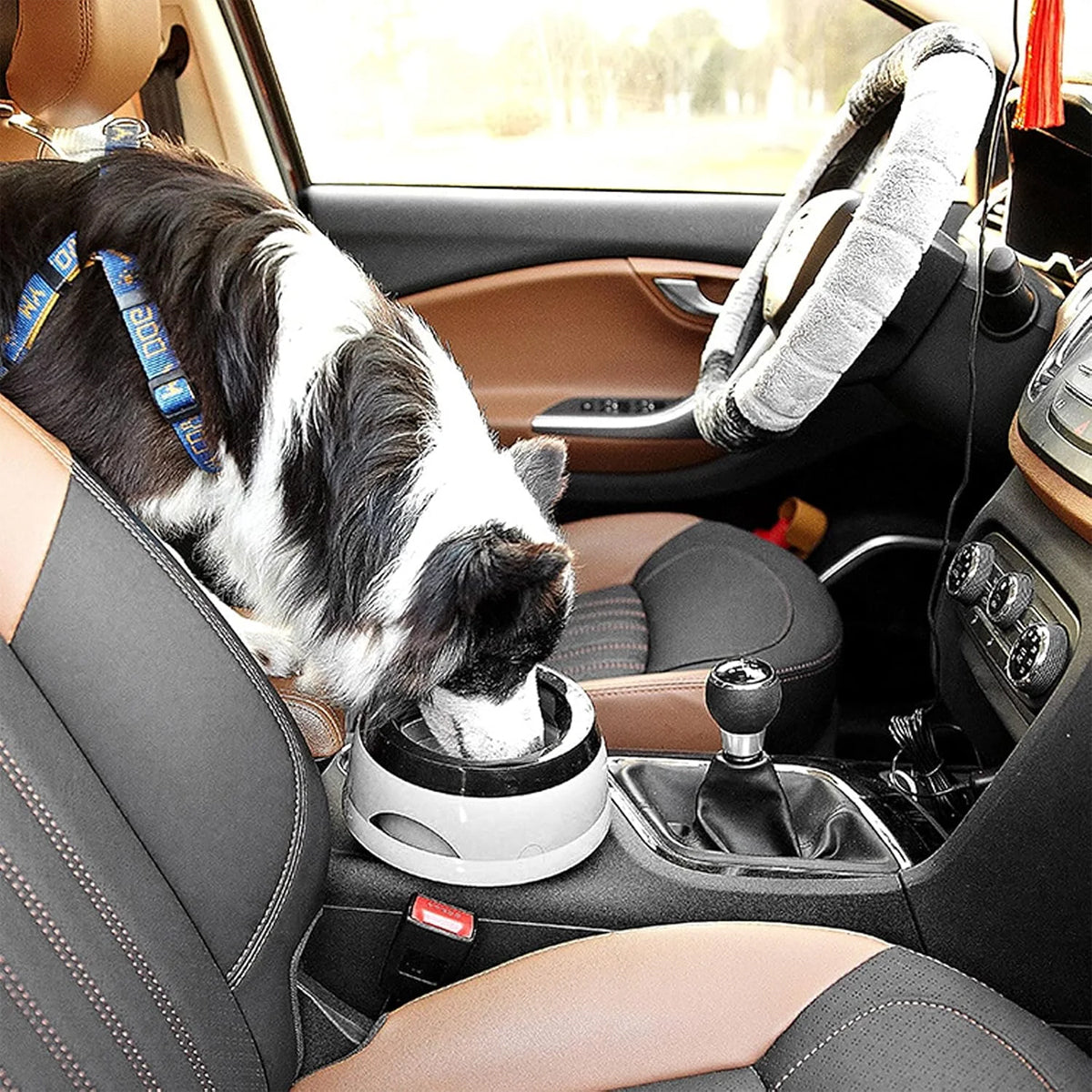 No Spill Pet Water Bowl With Floating Plate