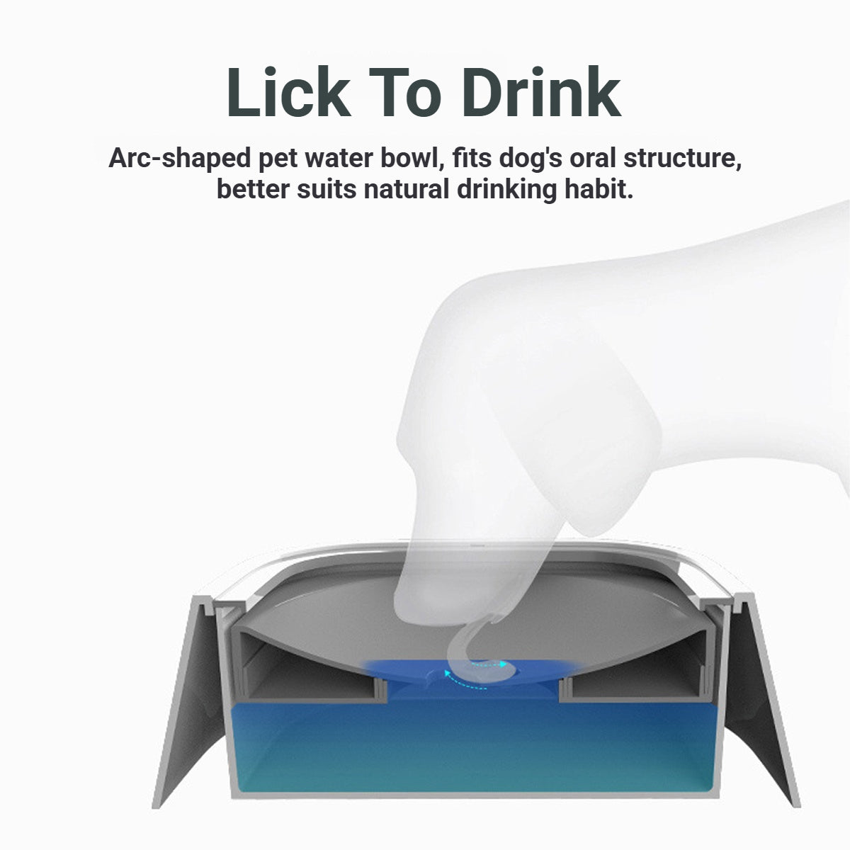 No Spill Pet Water Bowl With Floating Plate