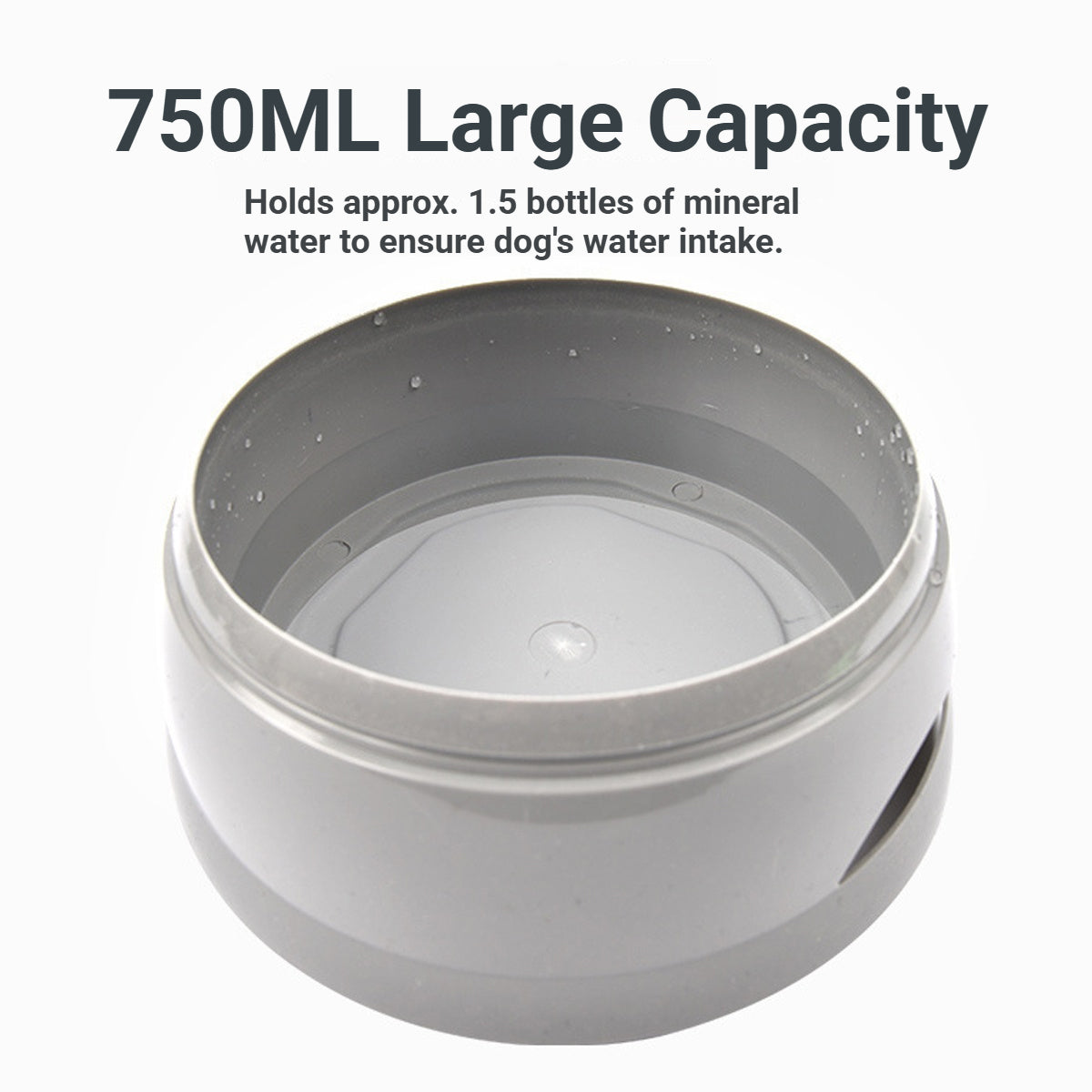 No Spill Pet Water Bowl With Floating Plate