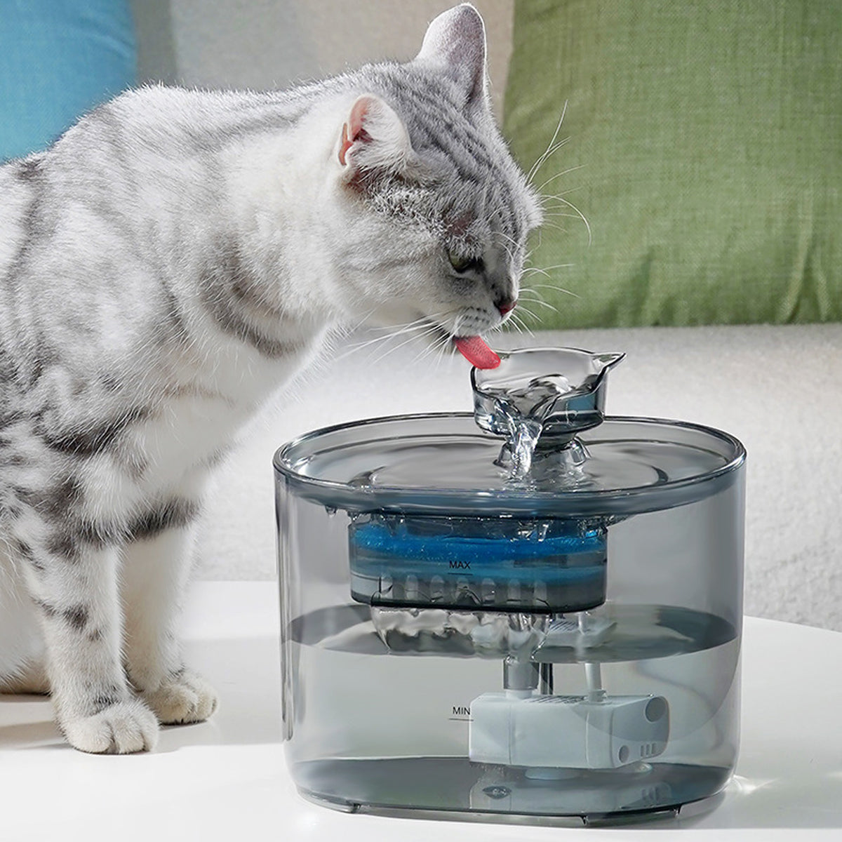 Automatic Pet Water Fountain for Cats and Dogs