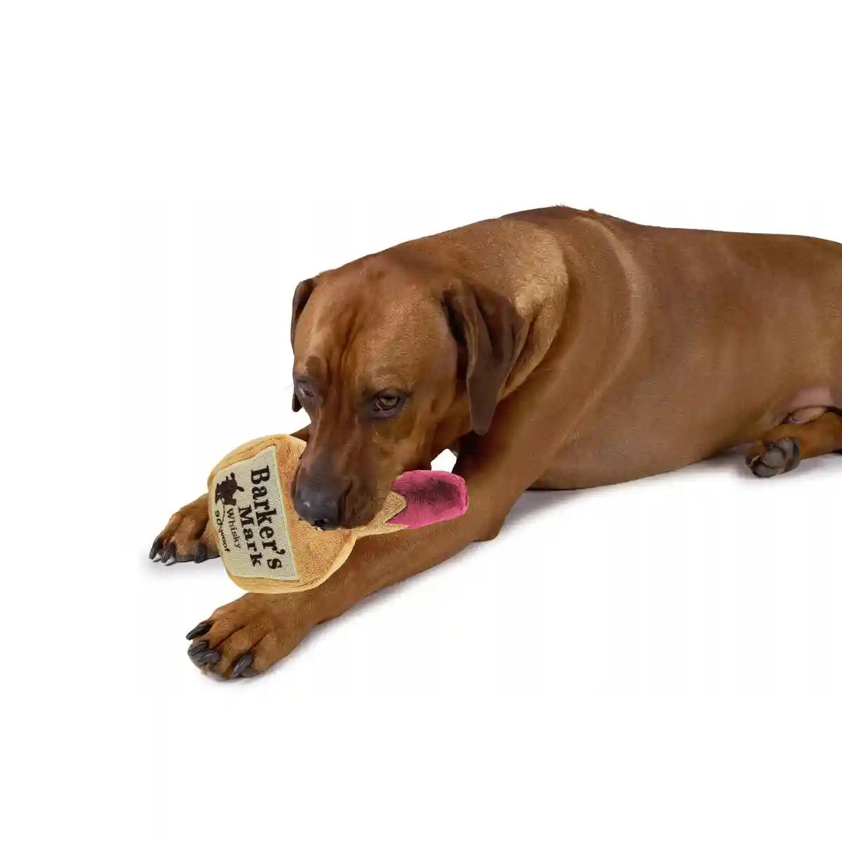 Squeaky Bottle Plush Dog Toy for Interactive Play