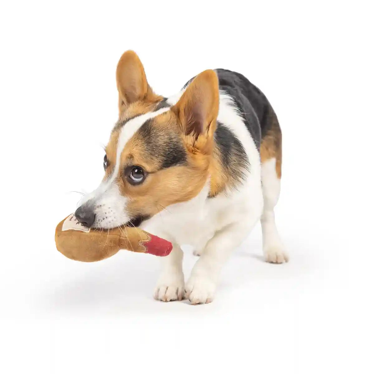 Squeaky Bottle Plush Dog Toy for Interactive Play