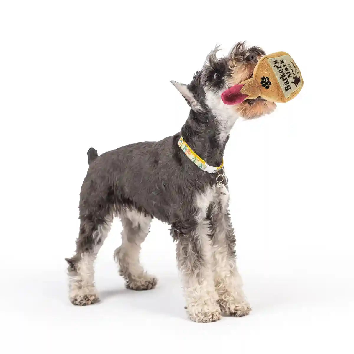 Squeaky Bottle Plush Dog Toy for Interactive Play