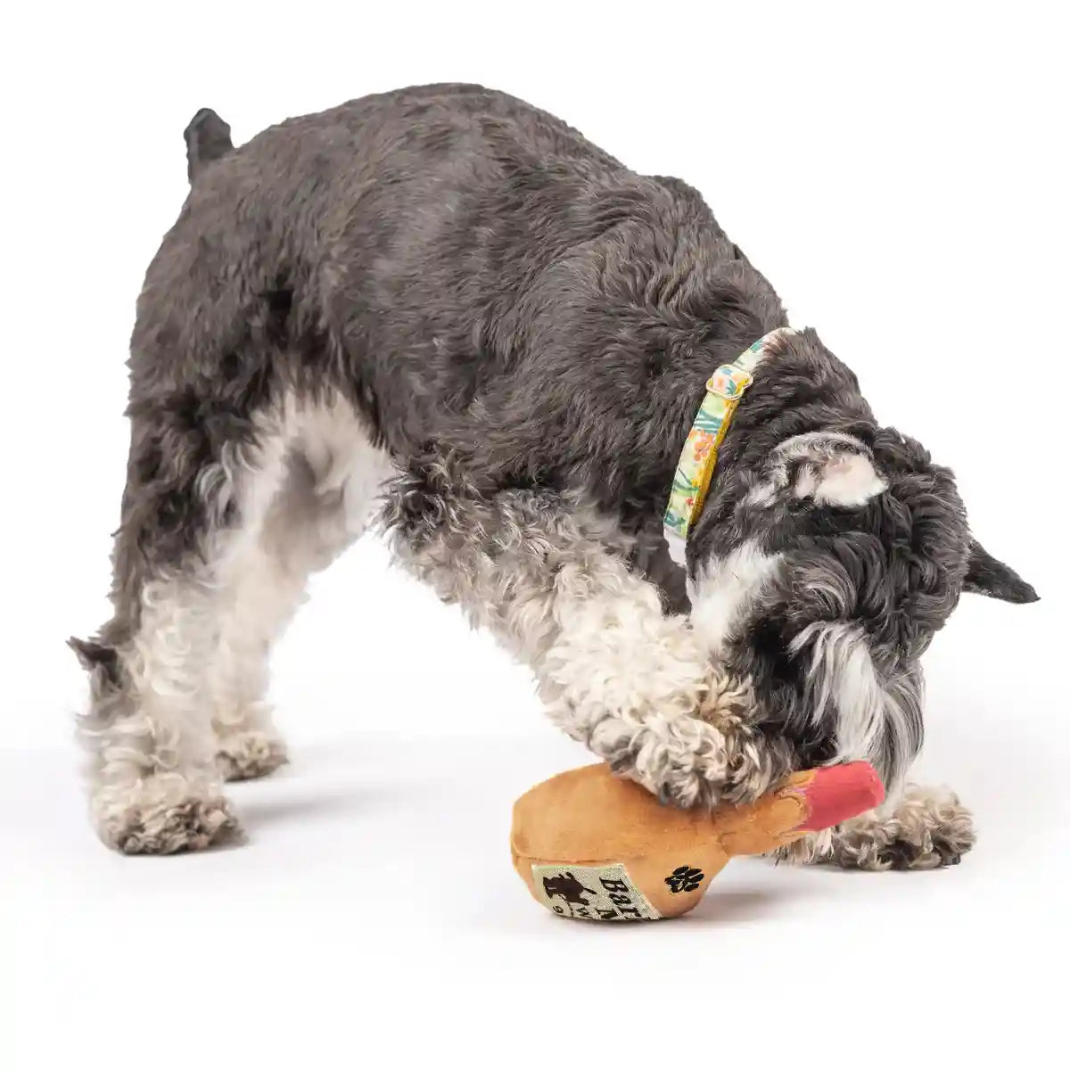 Squeaky Bottle Plush Dog Toy for Interactive Play