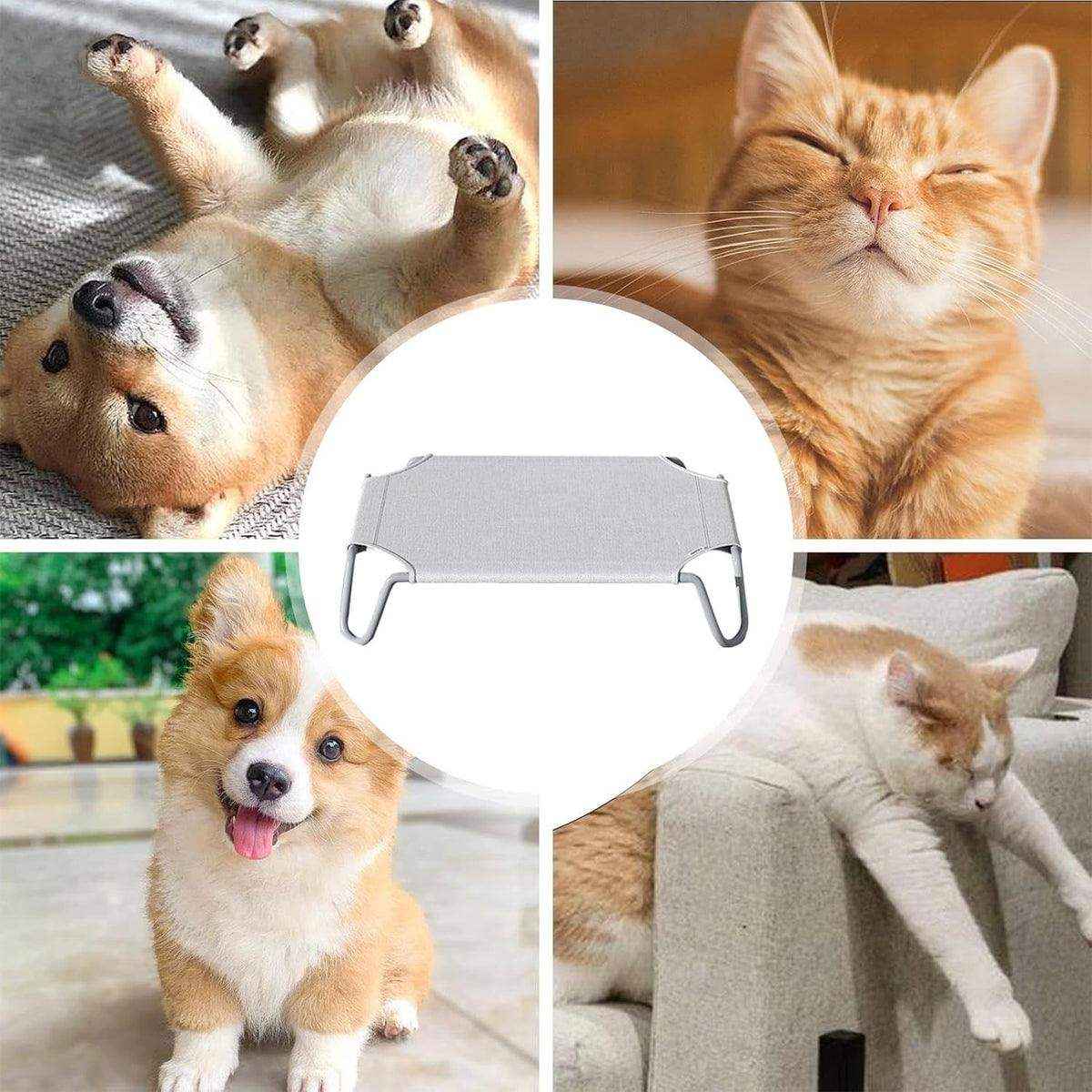Elevated Design for Comfort Breathable & Portable Camping Dog Bed