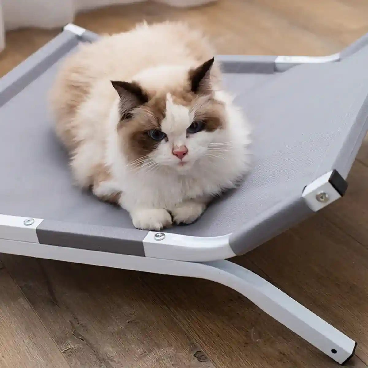 Elevated Pet Camp Bed Breathable Mesh & Steel Frame