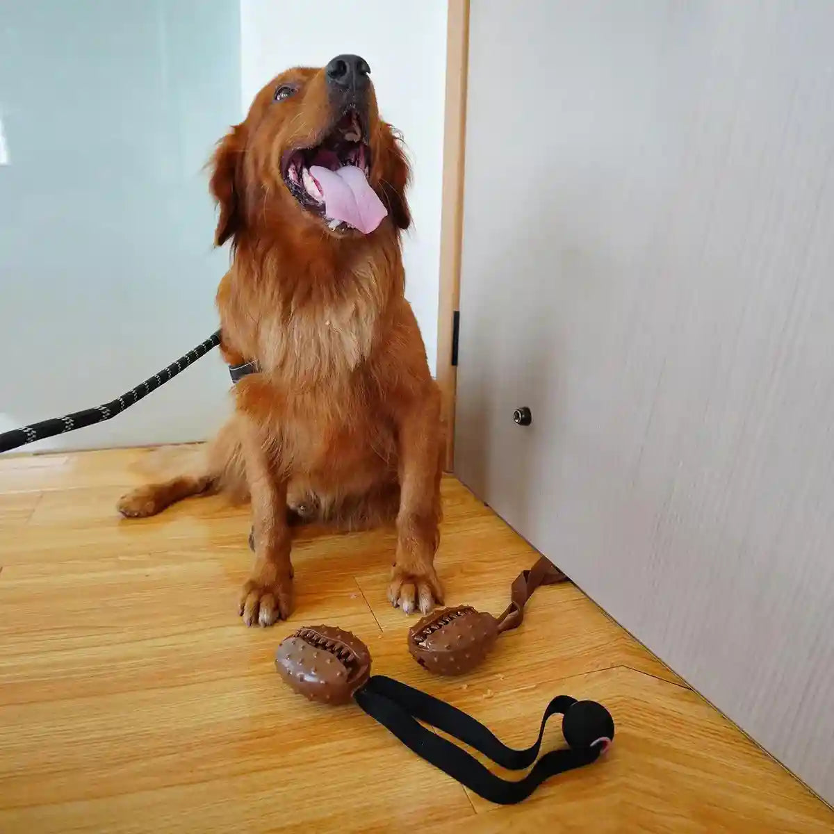 Puppy Chew Toy Teeth Cleaning Slow Feeding Ball Durable Dog Toy