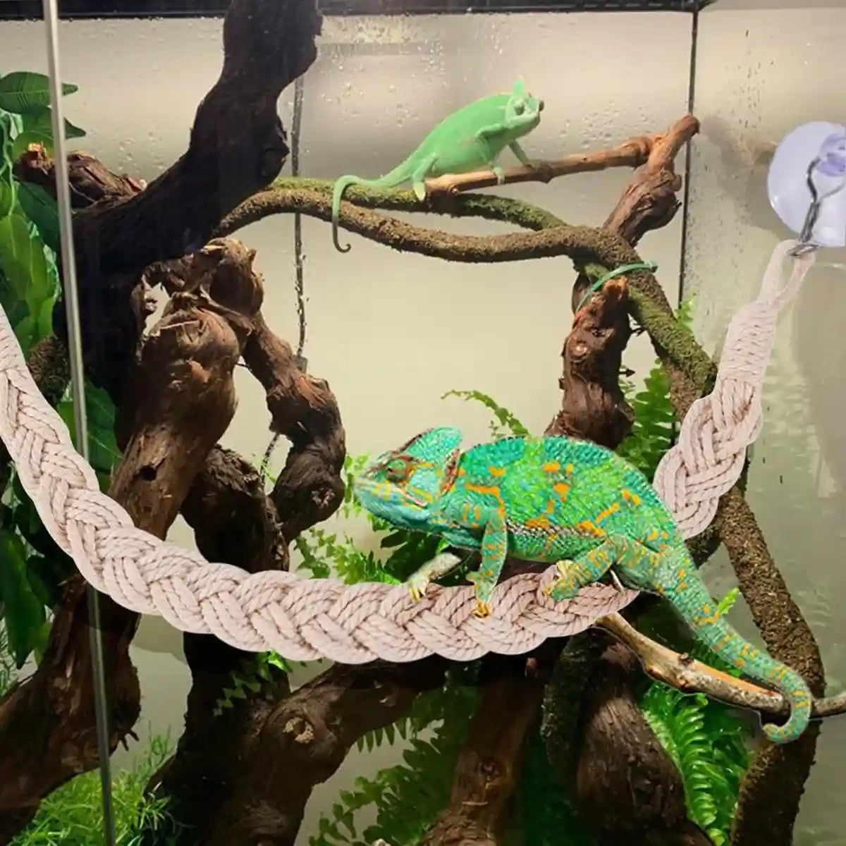 Pet Climbing Suspension Bridge Rope Ladder for Hermit Crabs & Reptiles