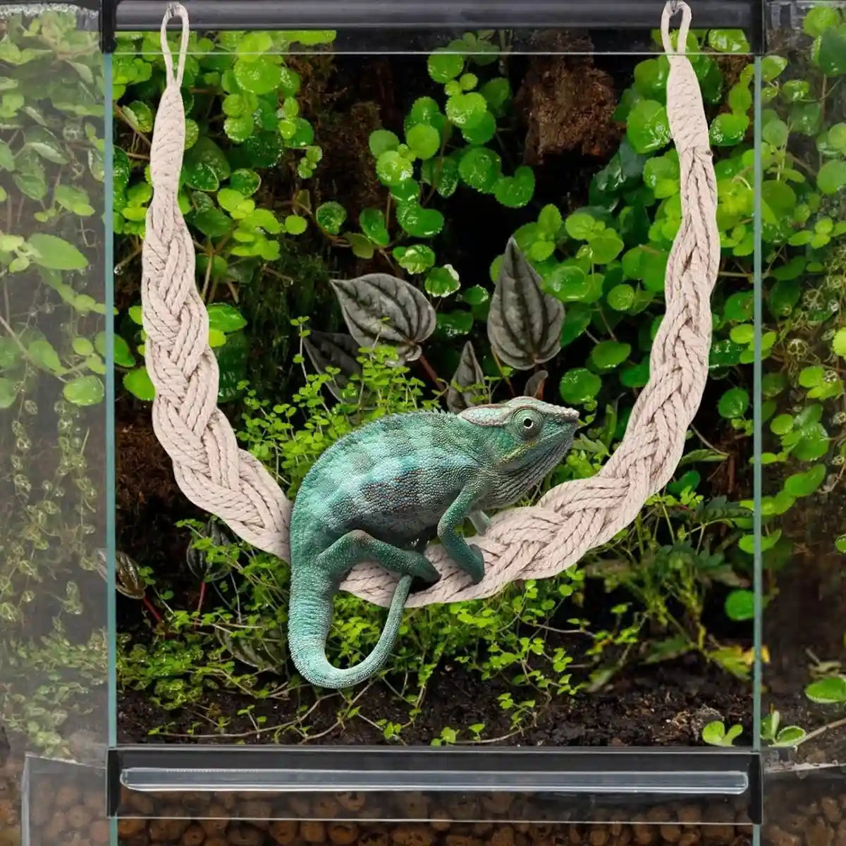 Pet Climbing Suspension Bridge Rope Ladder for Hermit Crabs & Reptiles