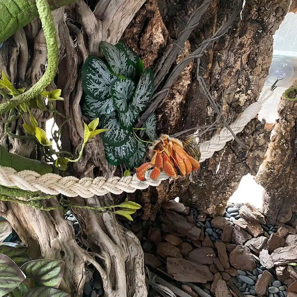 Pet Climbing Suspension Bridge Rope Ladder for Hermit Crabs & Reptiles