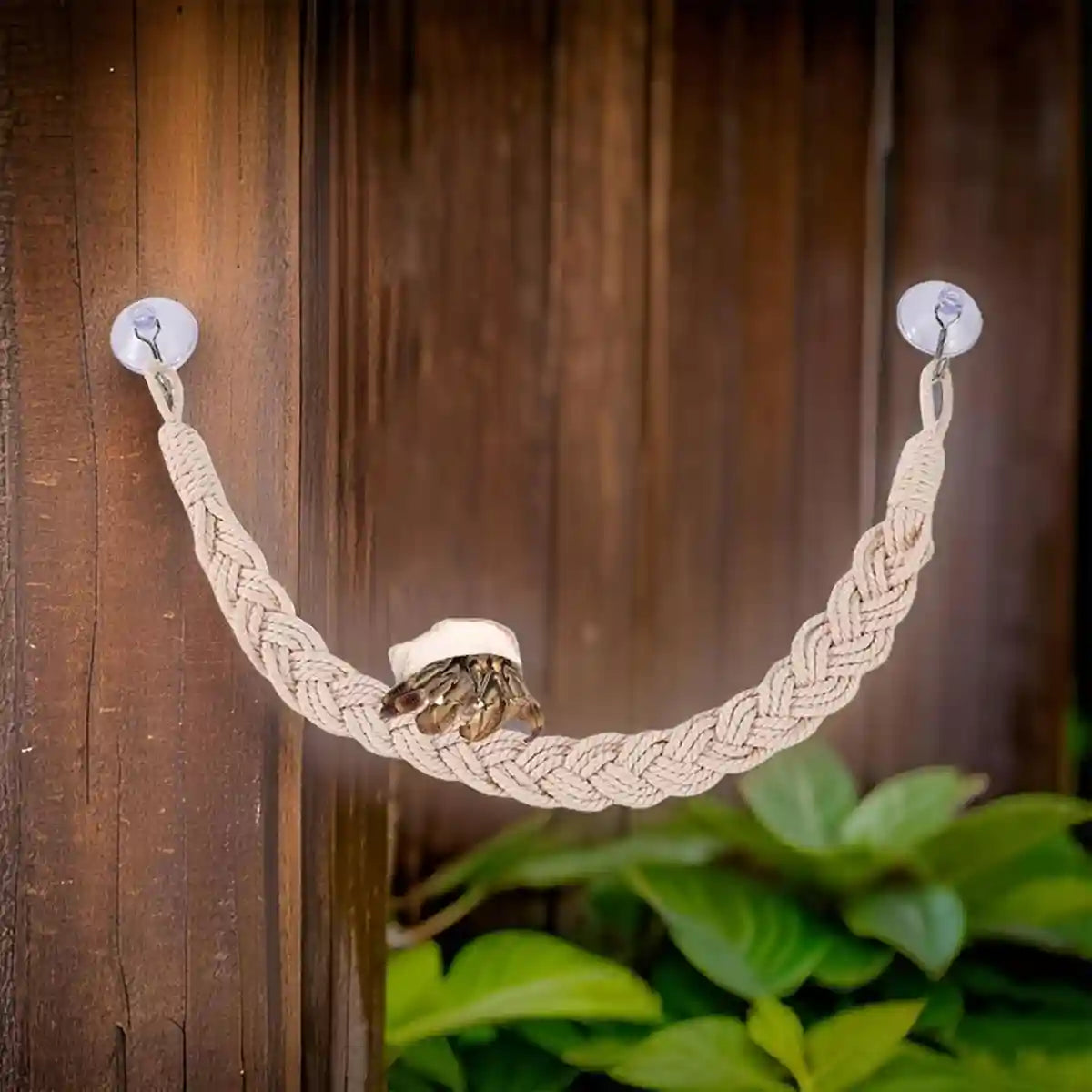 Pet Climbing Suspension Bridge Rope Ladder for Hermit Crabs & Reptiles