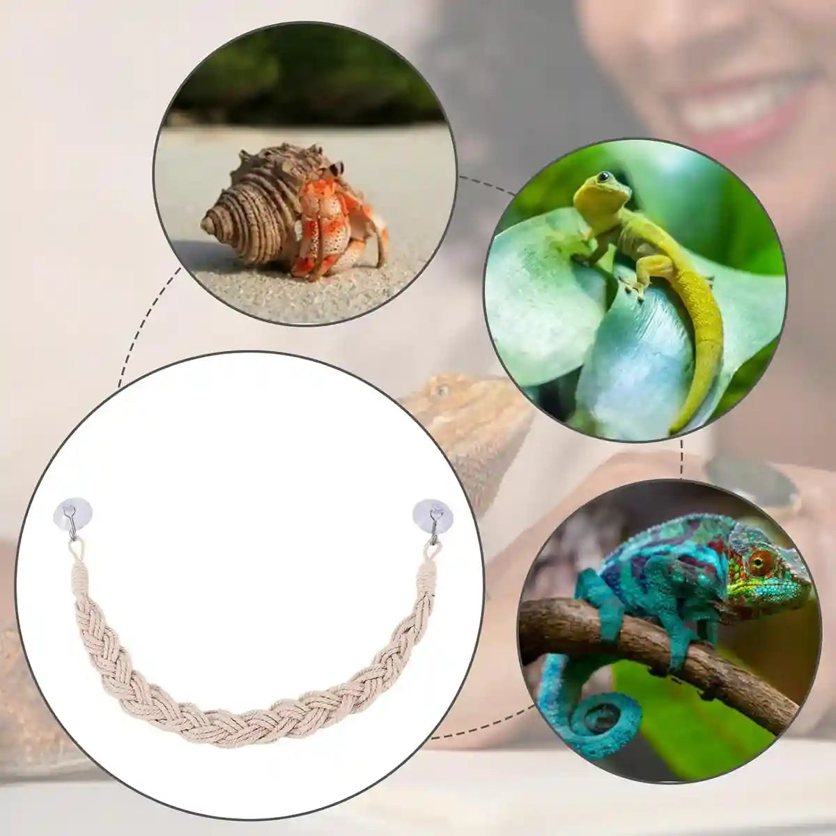 Pet Climbing Suspension Bridge Rope Ladder for Hermit Crabs & Reptiles