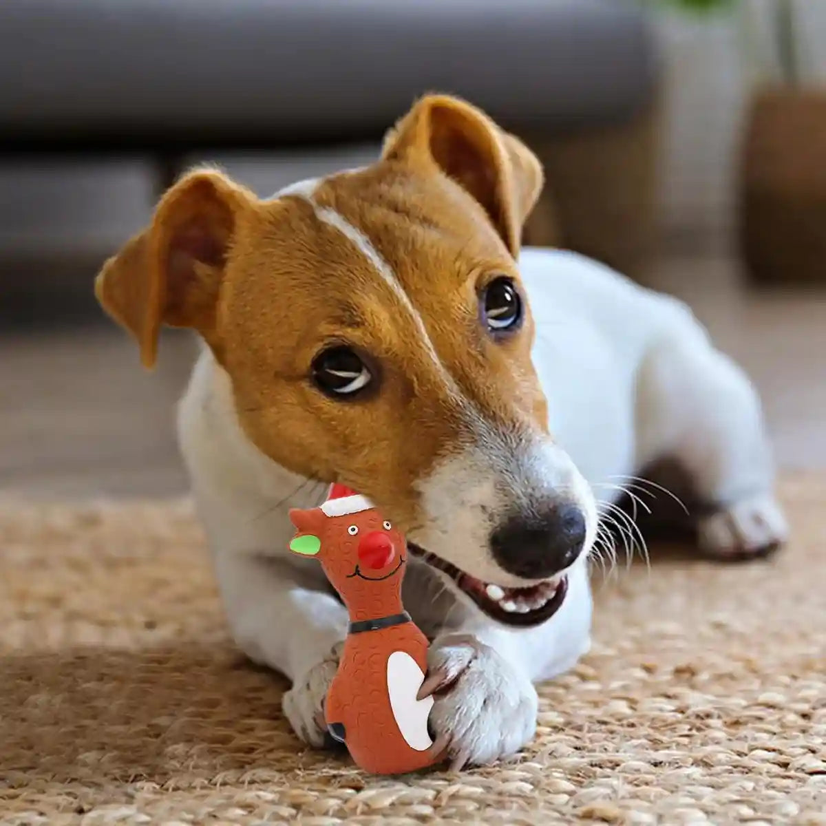 Tangle Free Dog Tie Out Cable And Stake Set For Outdoor Use