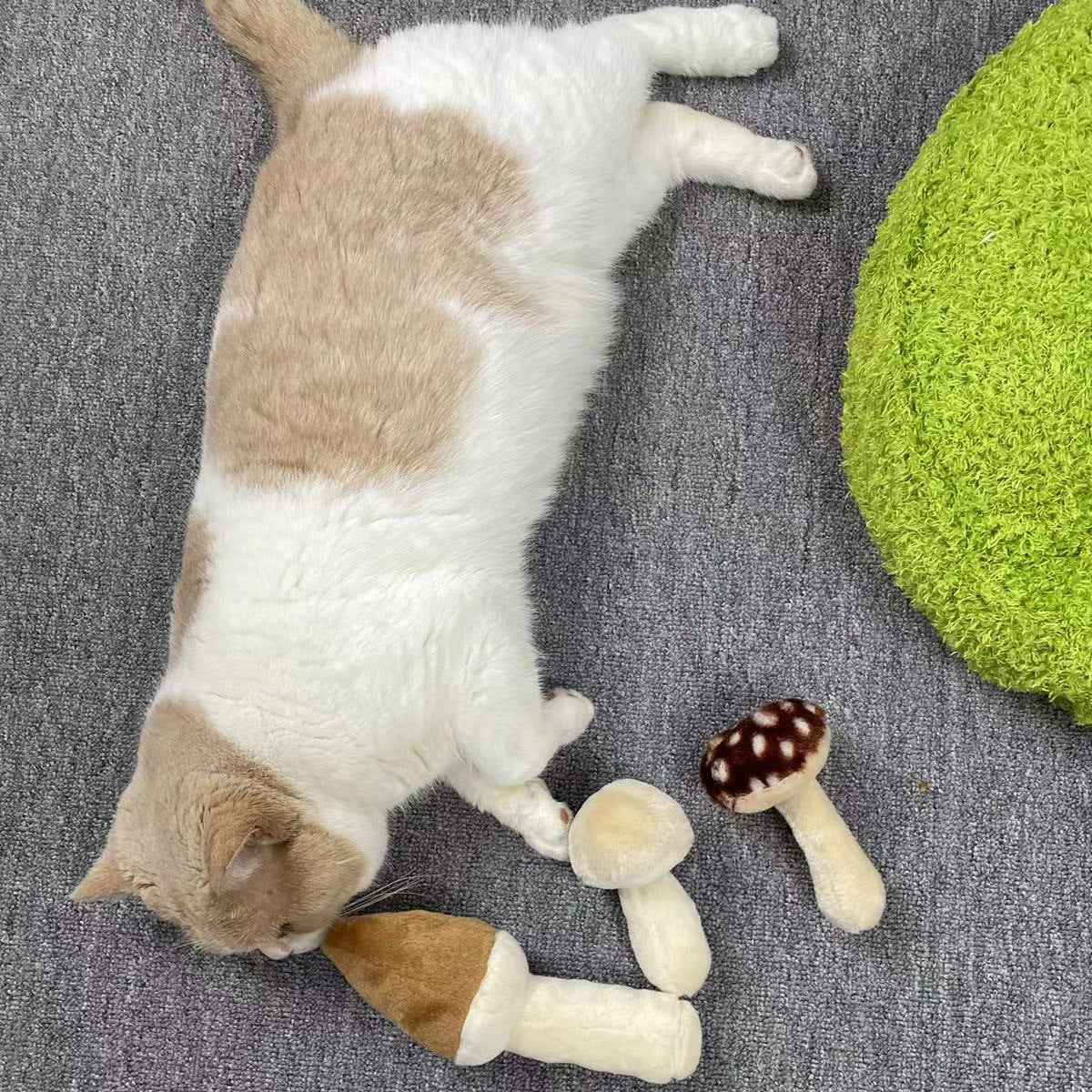 Mushroom Plush Pet Bed with Chew Toys for Small Cats and Dogs