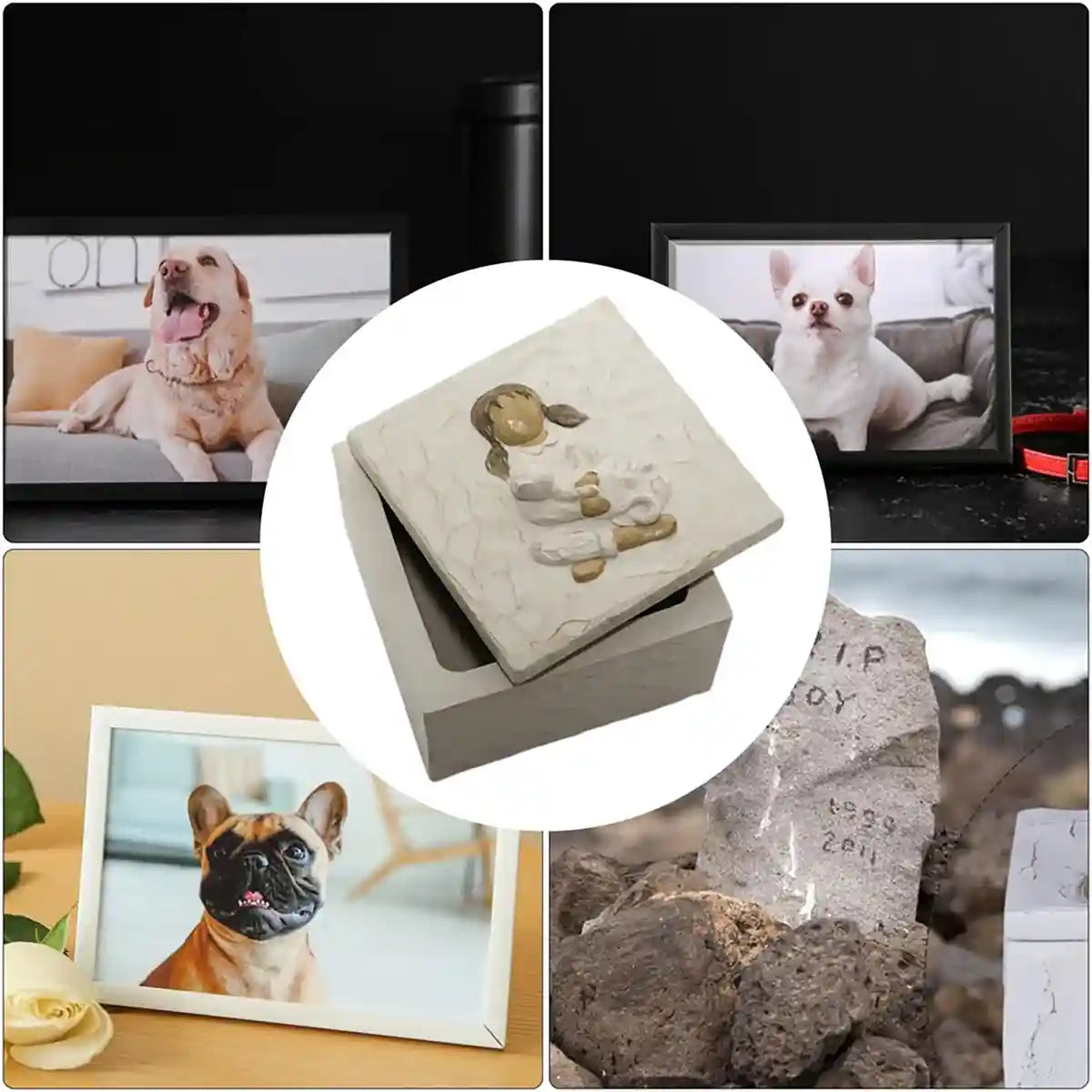 Keepsake Resin Pet Urn Memorial Box for Ashes and Mementos