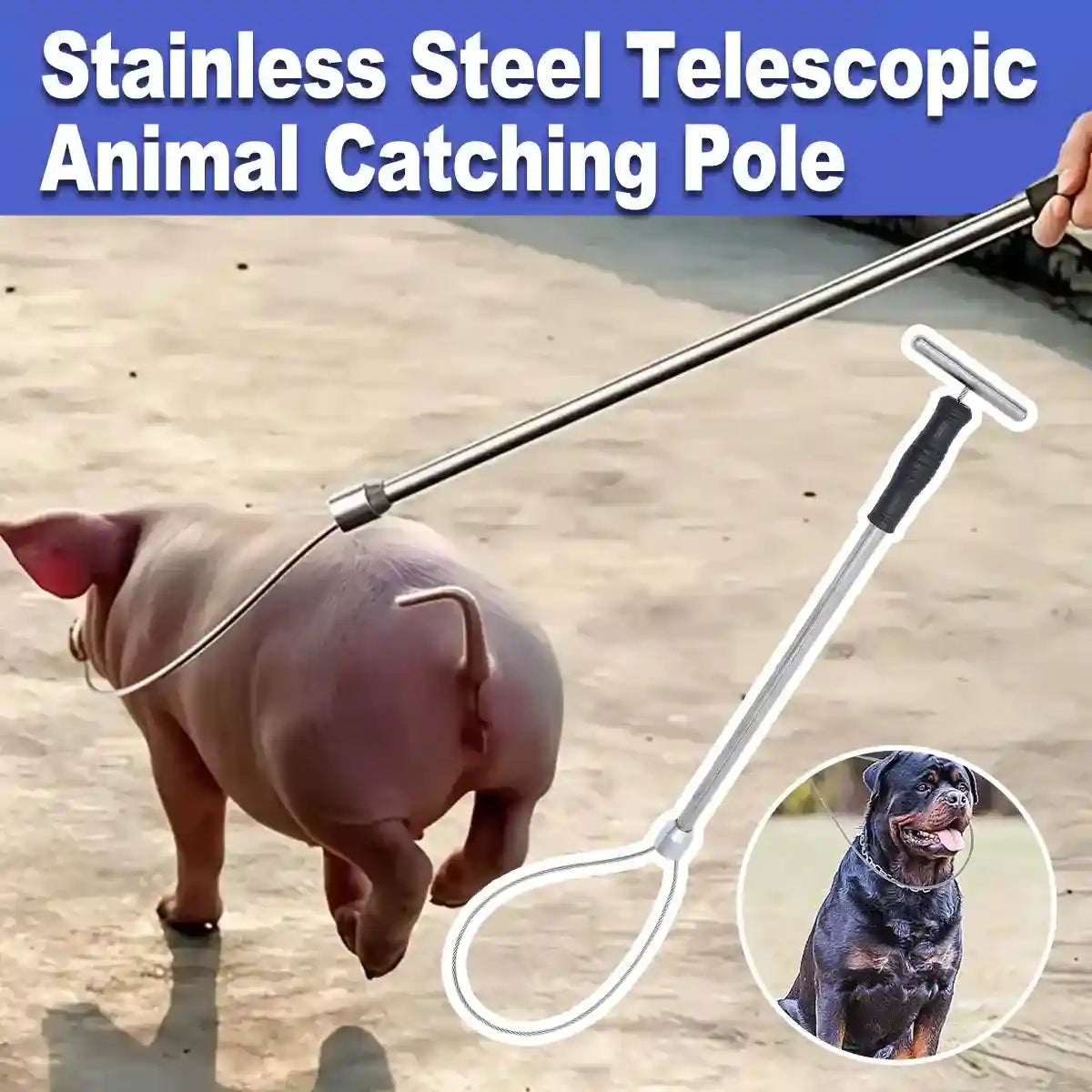 Stainless Steel Animal Catching Pole