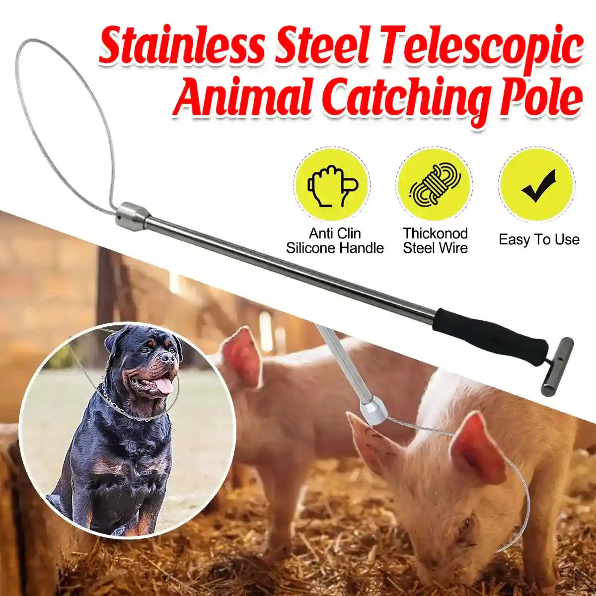 Stainless Steel Animal Catching Pole