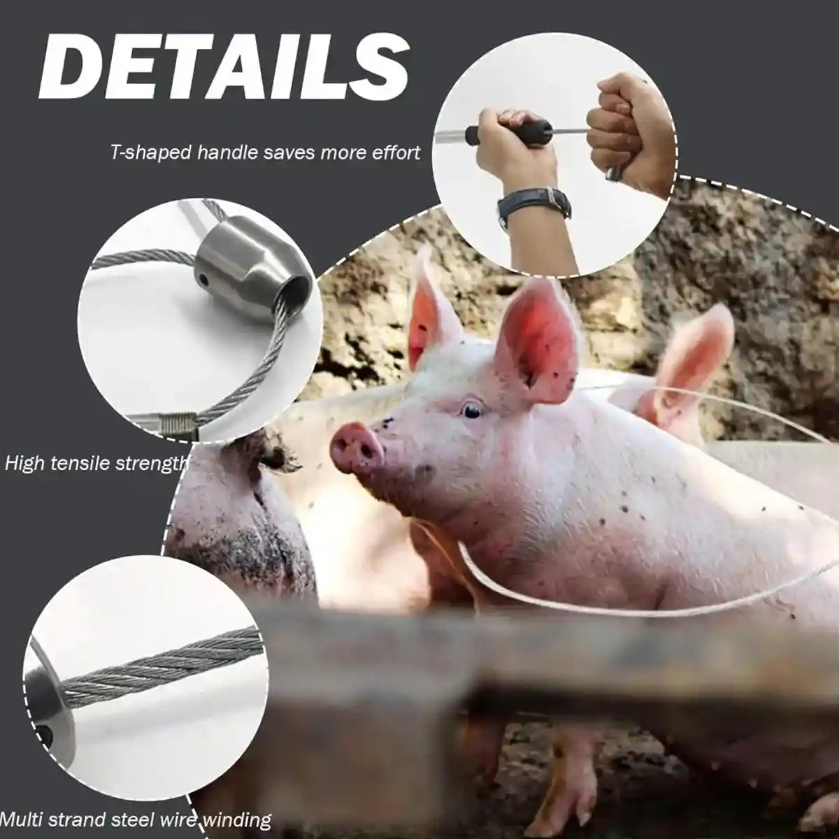 Stainless Steel Animal Catching Pole