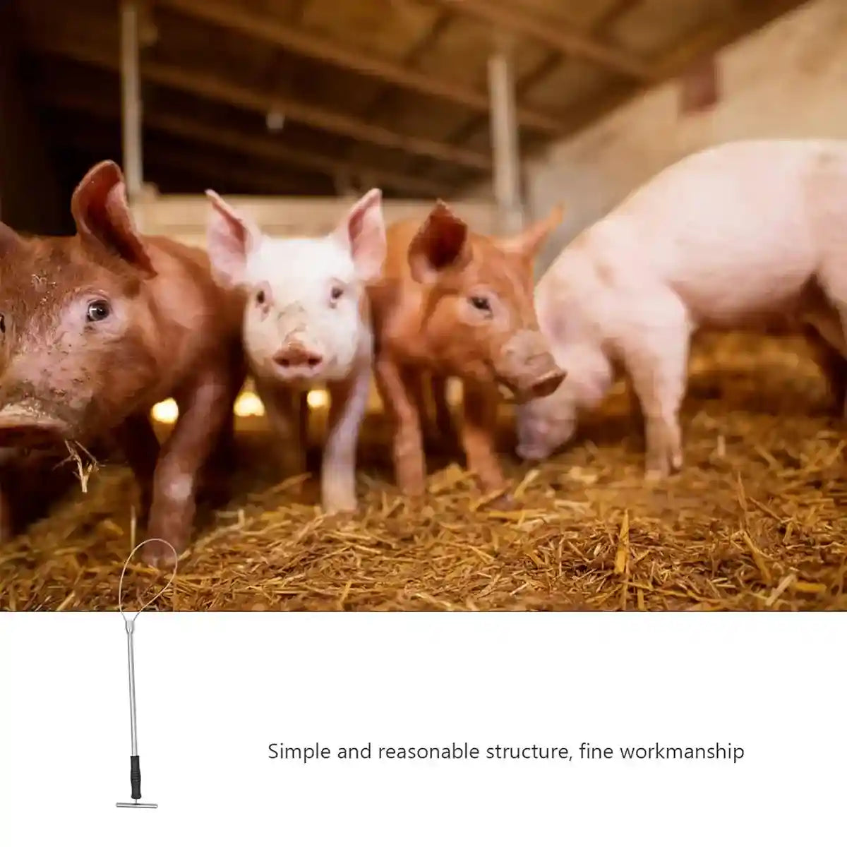 Stainless Steel Animal Catching Pole