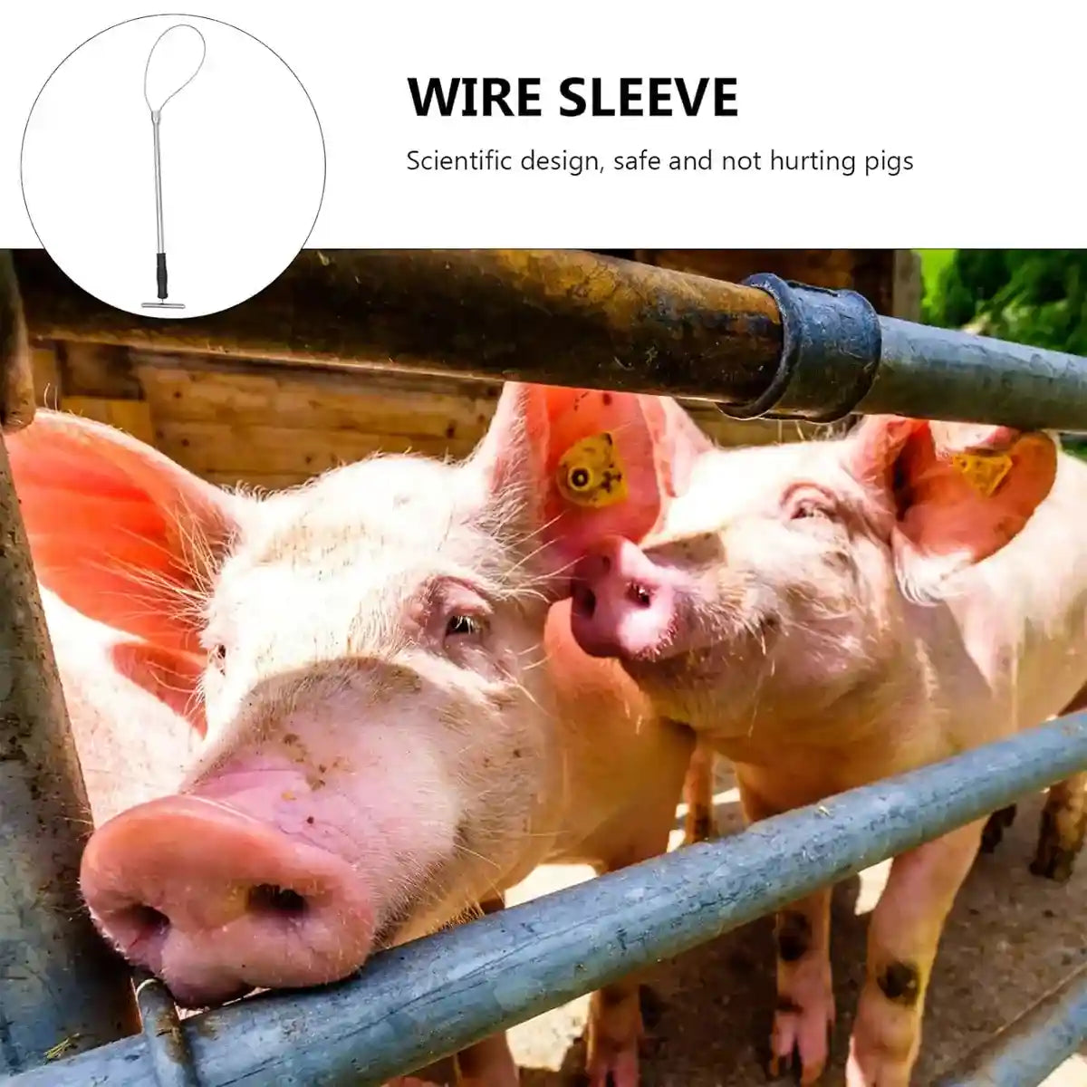 Stainless Steel Animal Catching Pole