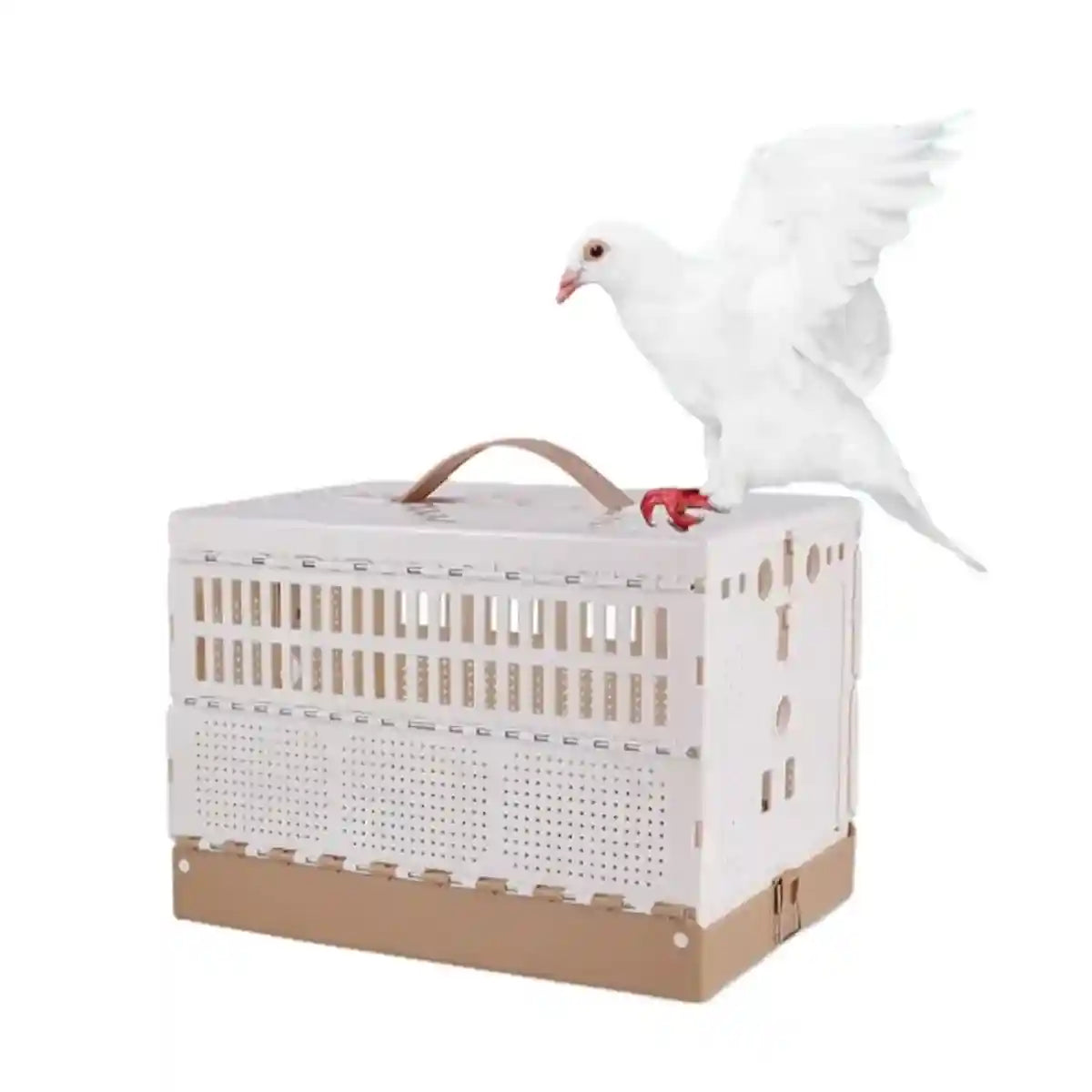 Foldable Pigeon Transport Cage with Dual Doors and Handle