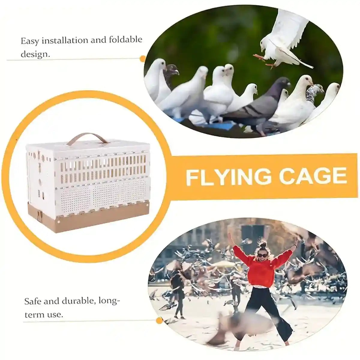 Foldable Pigeon Transport Cage with Dual Doors and Handle