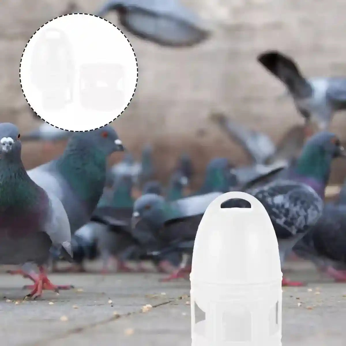 3L Automatic Bird Waterer Large Capacity Dispenser for Pigeons & Parrots