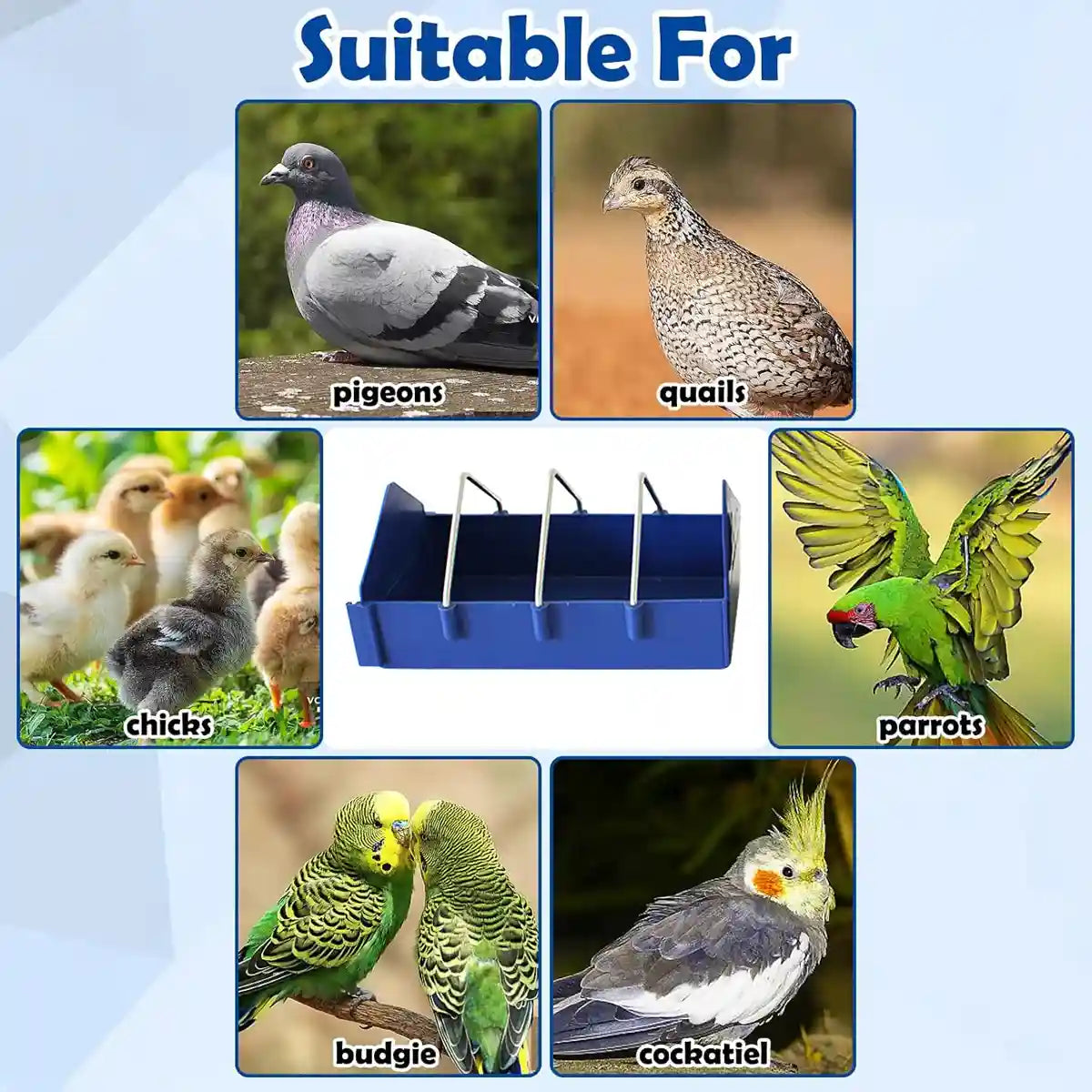 Anti-Spill Pigeon Feeder 2PCS Durable Bird Poultry Feeding Trough